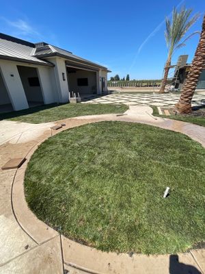 Project in Lodi