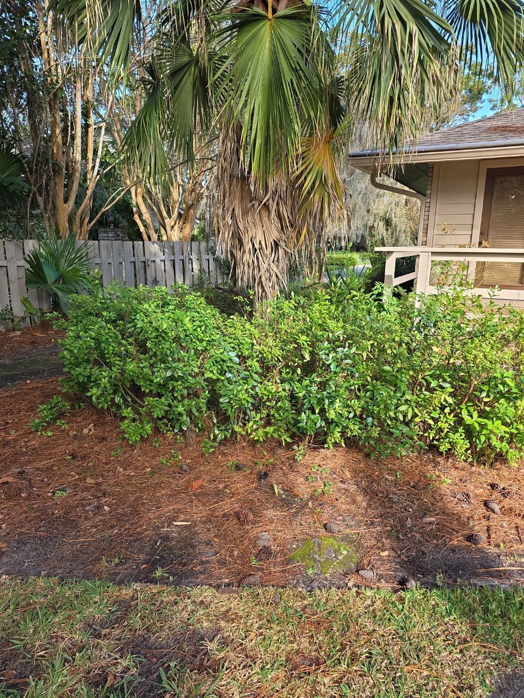 Deerwood Resident | Freshen Up Project by ProGreen Services