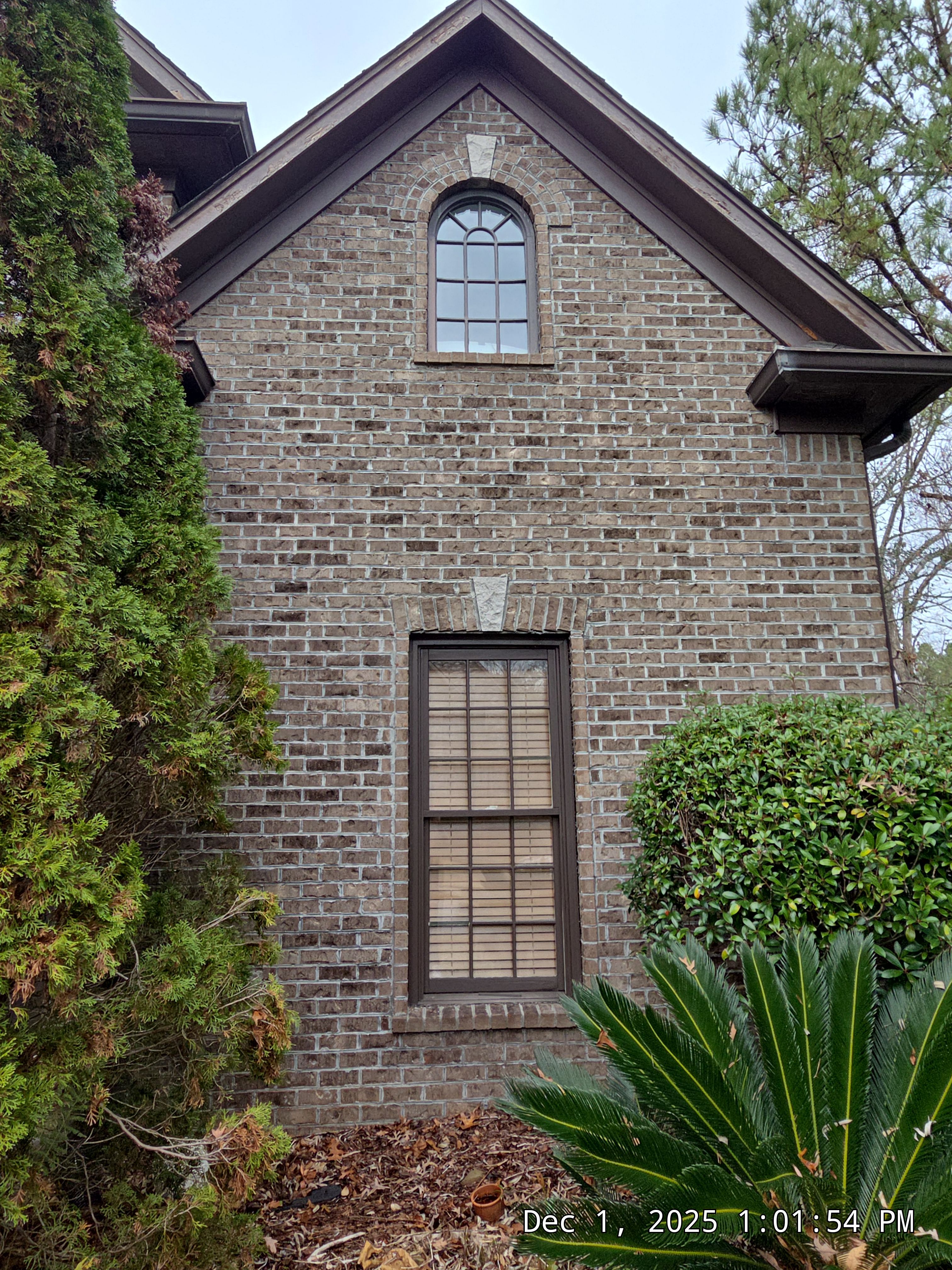 Lewis Project in Hoover by The Window Source