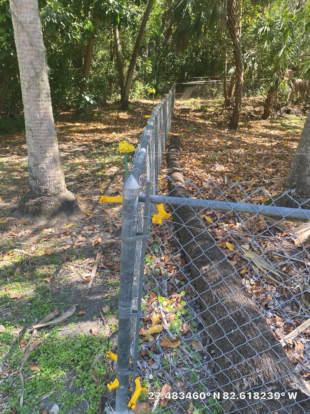 Bradenton, FL 6ft. Treated Board on Board Privacy Fence  by Asap fence and gates, LLC