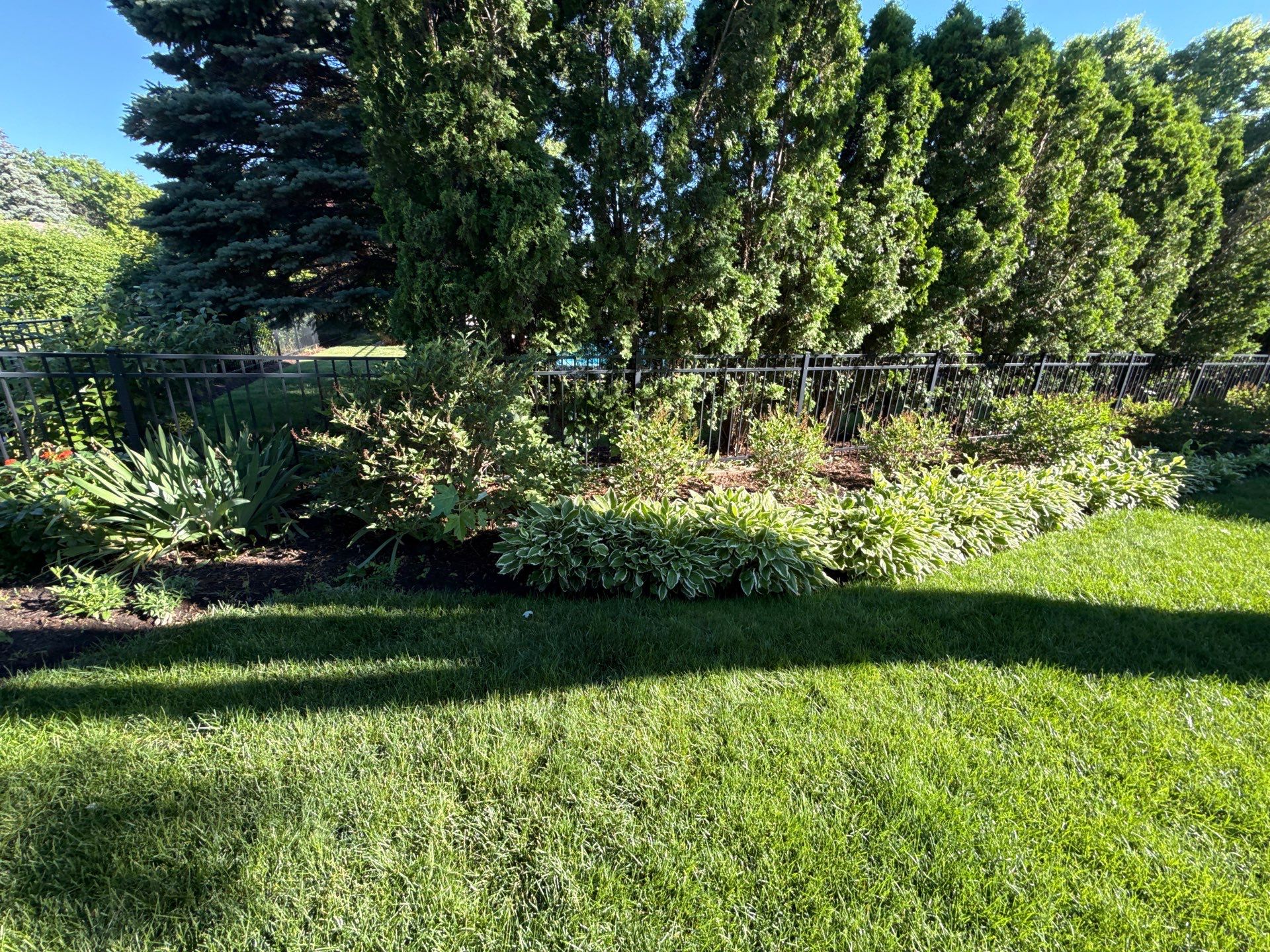 Lesley D. - Arlington Heights, IL by A&N 