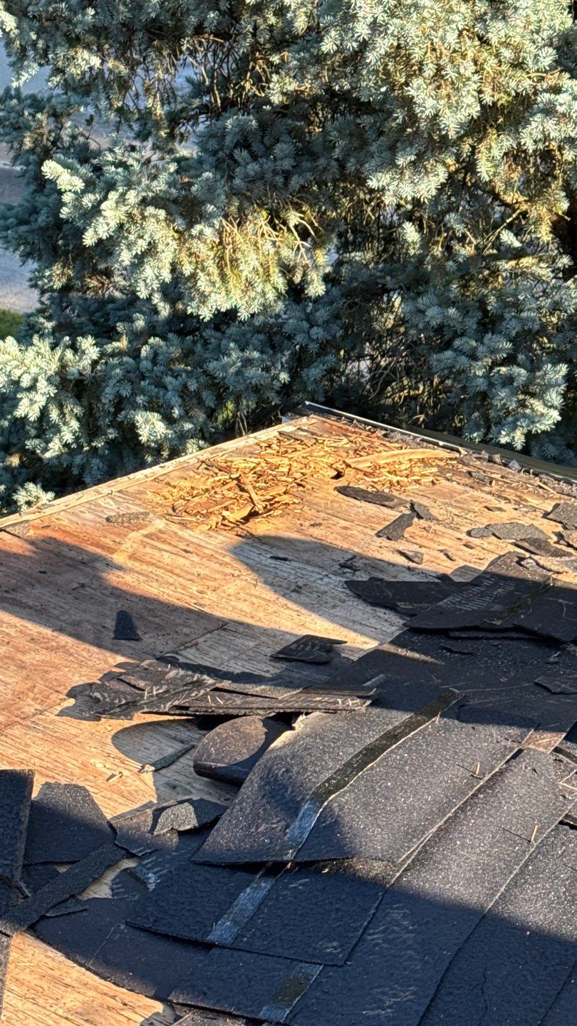 Roof Replacement using Owens Corning Onyx Black by 180 Contractors