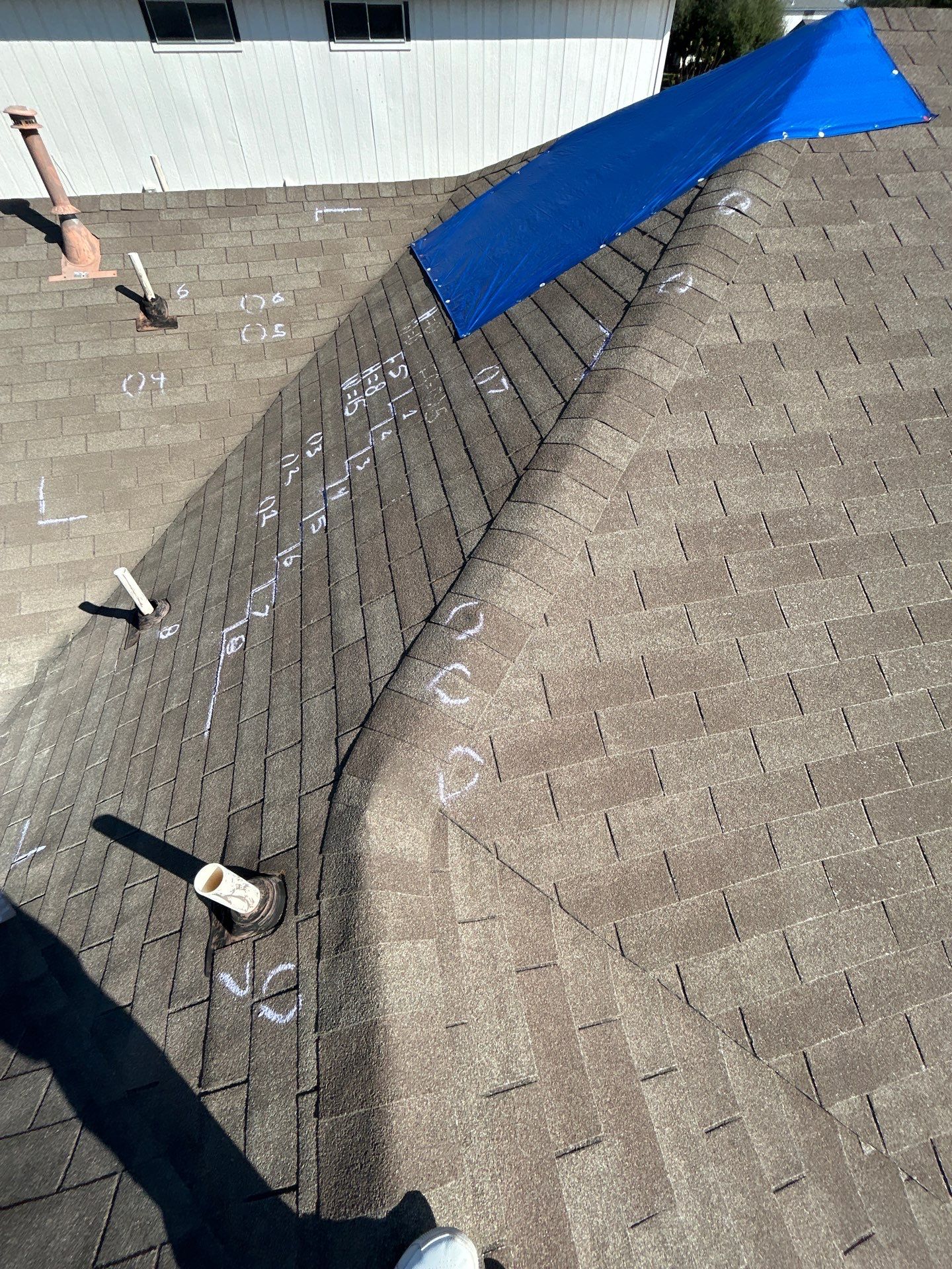 Miss Bridgette by REPS Austin Area Roofer