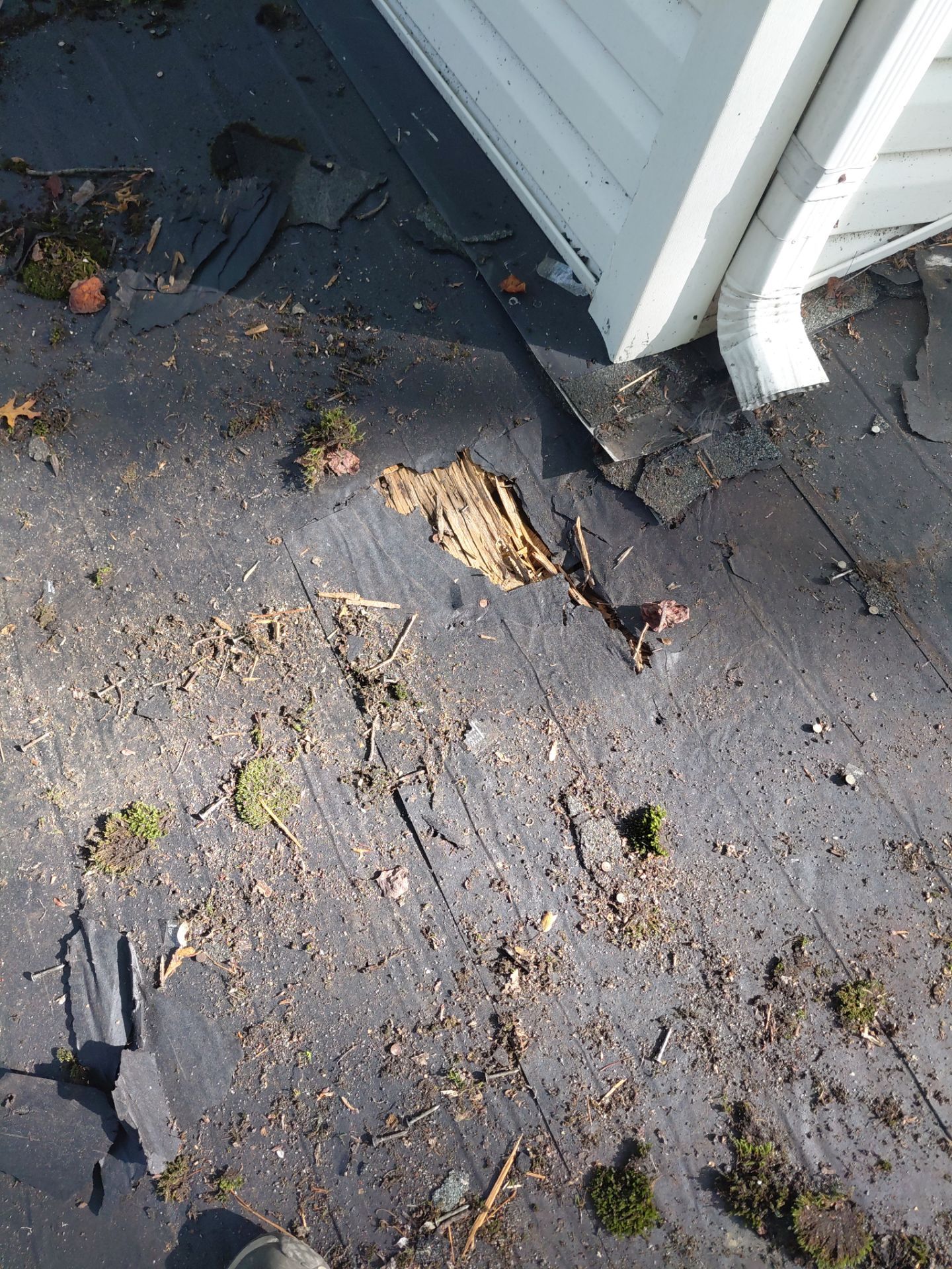 Springfield : Residential Roof Replacement with CertainTeed Landmark Pro in Max Weathered Wood  by RM Banning, Inc.