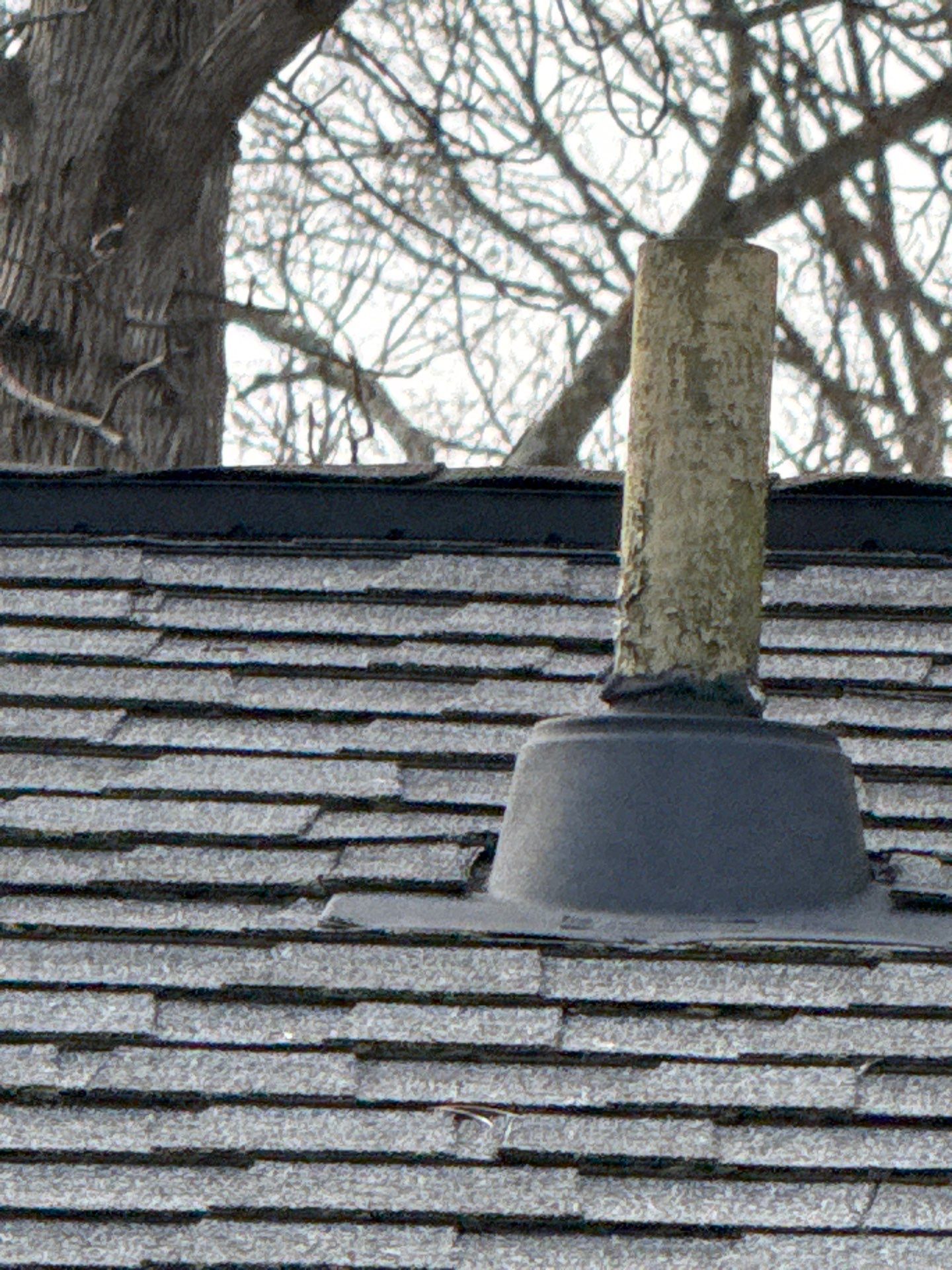 Project in Richmond by Roof Maxx of Midlothian