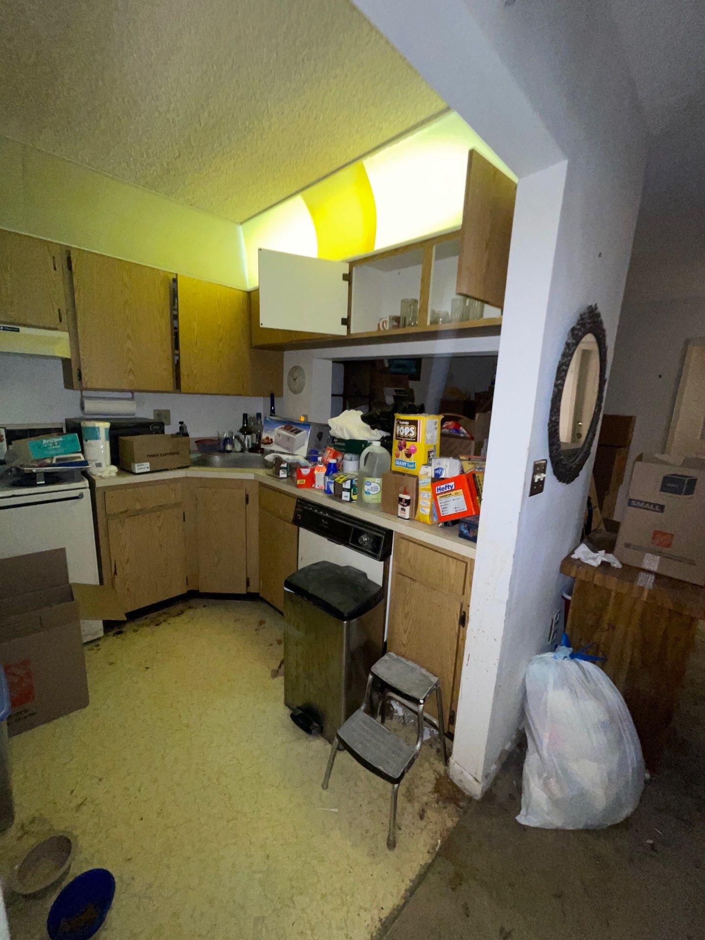 Horder house with Mold and Bacterial Contamination Issues  by Bay Coast Restoration 