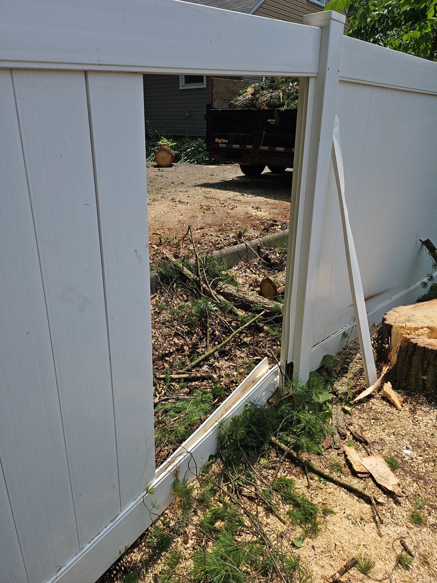 Tree Removal using Tree Removal by Mike Jones & Sons Tree Service LLC 