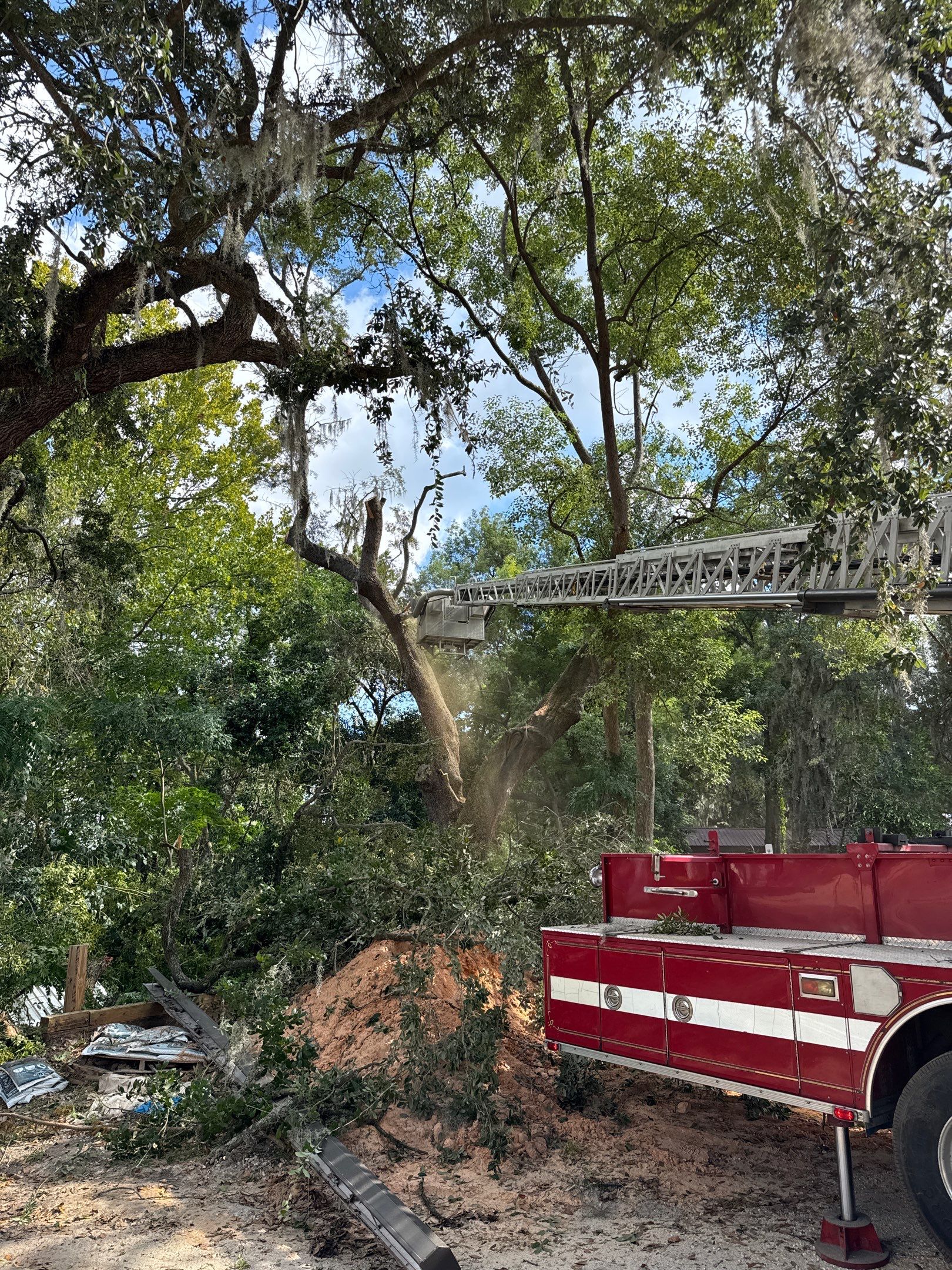 Tree Removal | Episcopal Softball Field by ProGreen Services