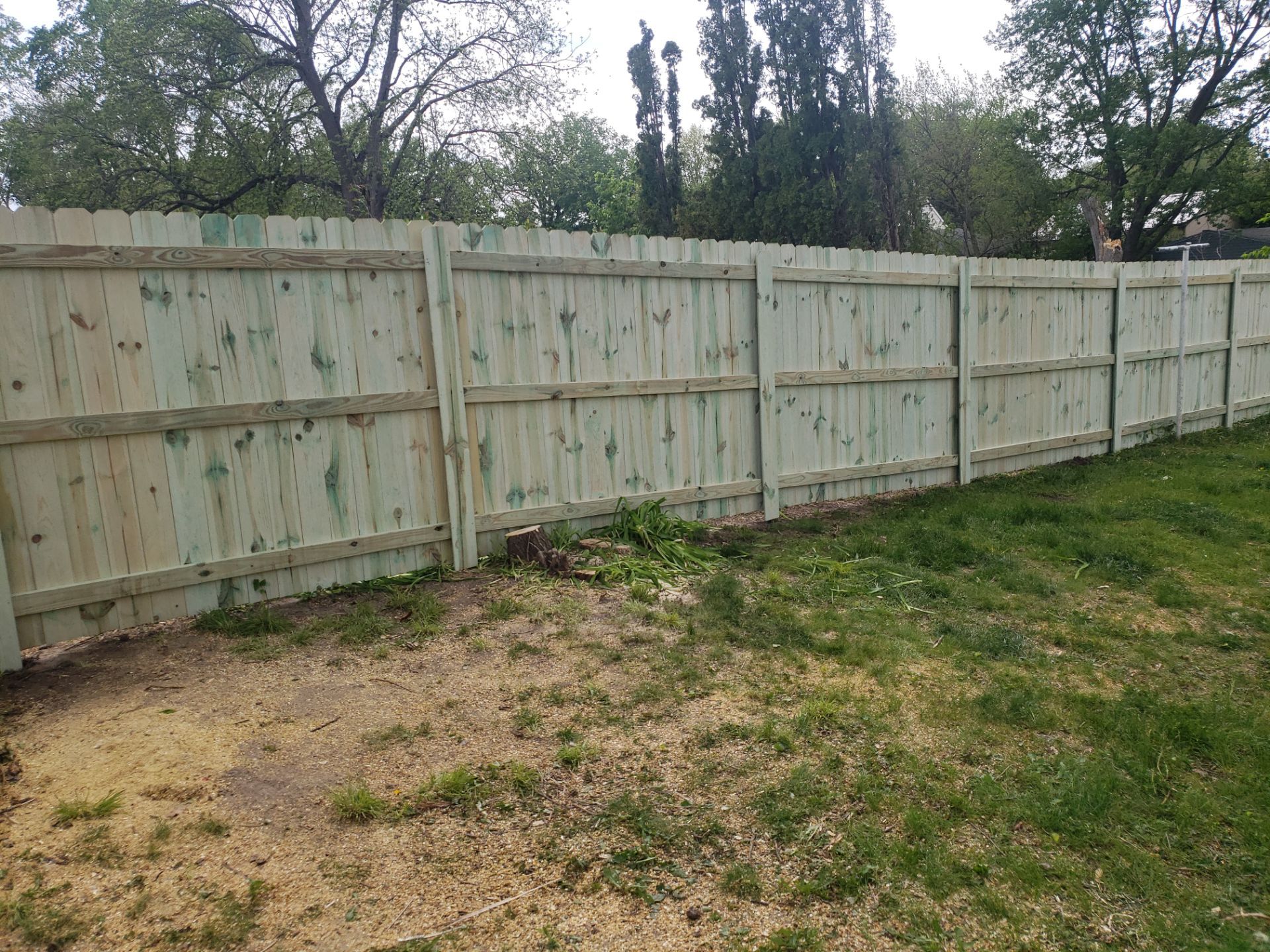 Pressure-Treated Wood Privacy Fence Installation in Waterloo by Perfect Picket Fence and Stain