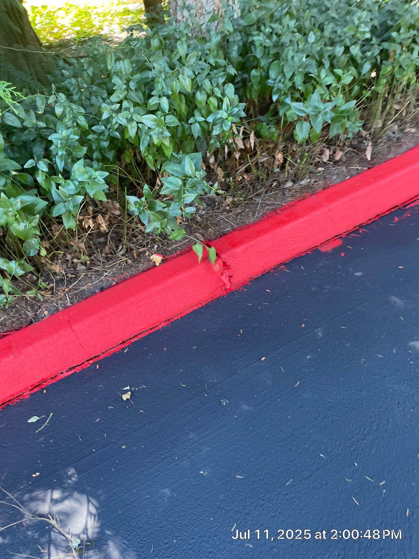 Curb Repaint | Seattle  by Jireh Asphalt & Concrete Inc 