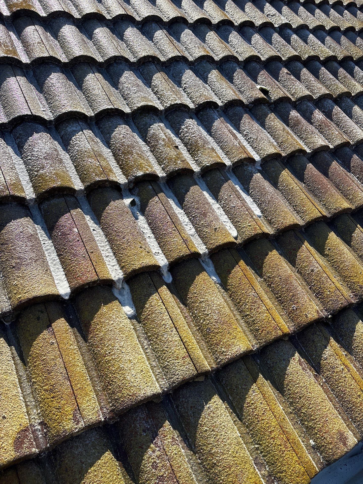 Soft Wash by Top Elevation