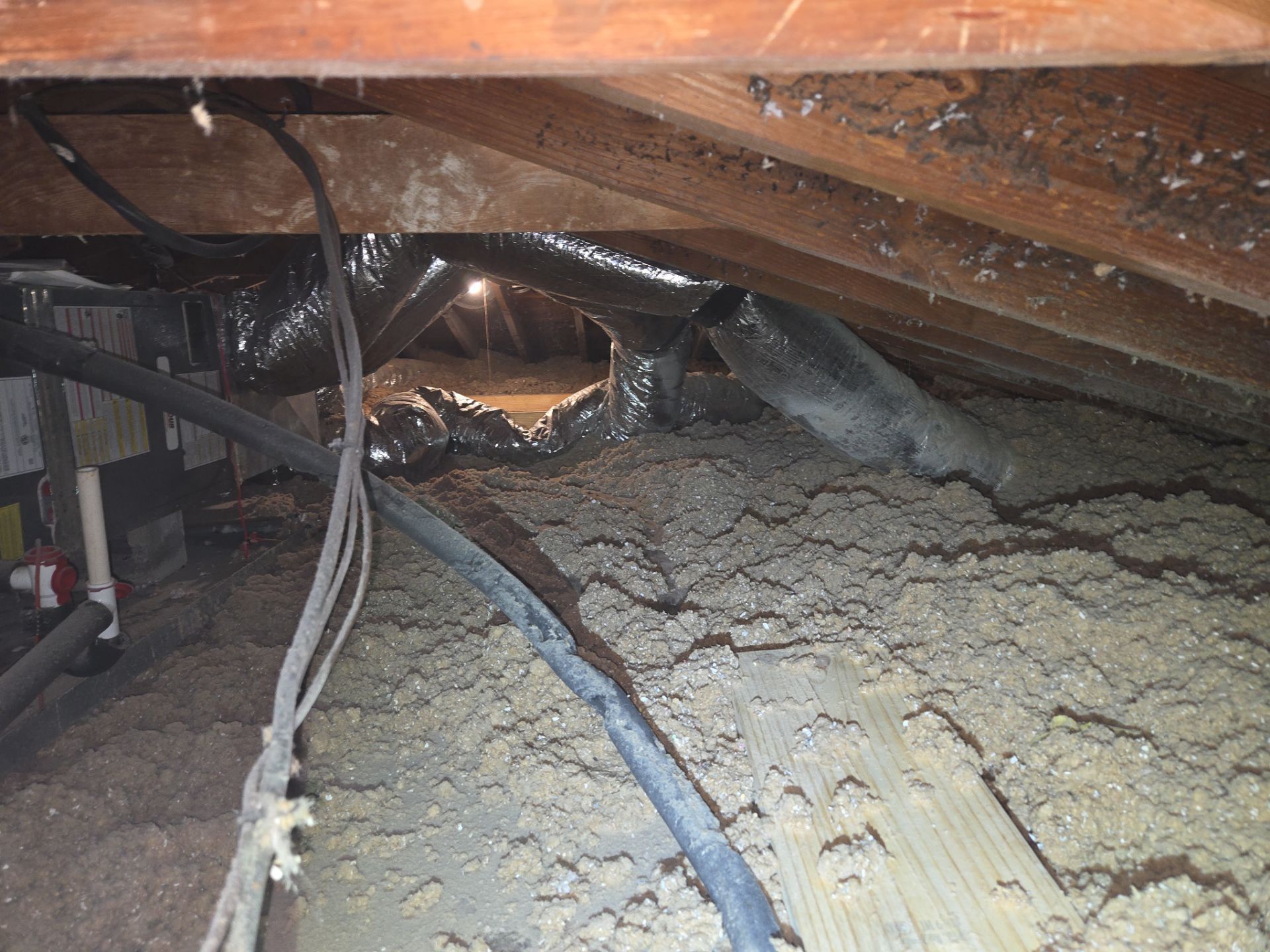 Project in Norfolk by Patriot Crawl Space Repairs