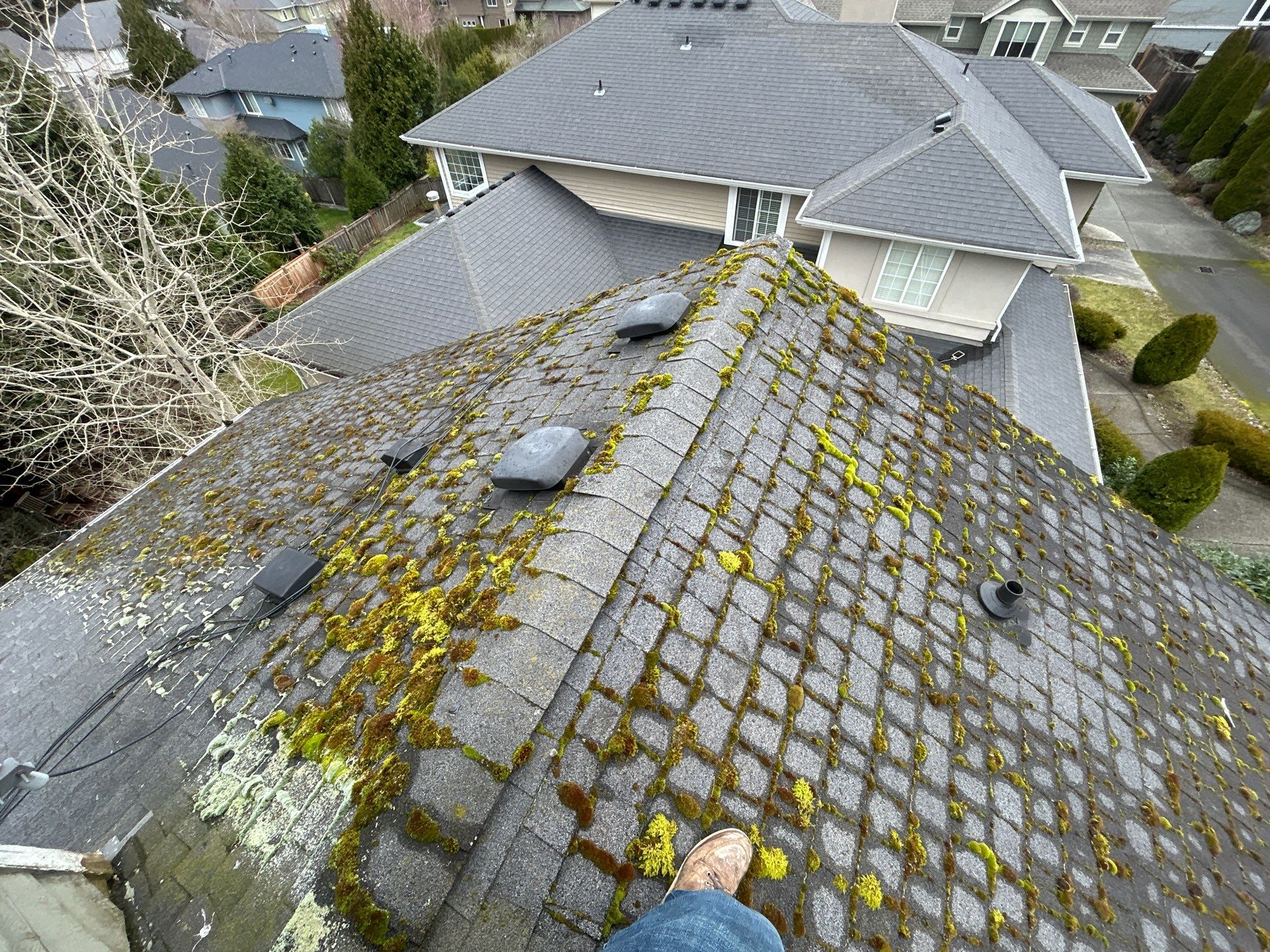 Project in Bellevue by Peaks and Valleys Construction