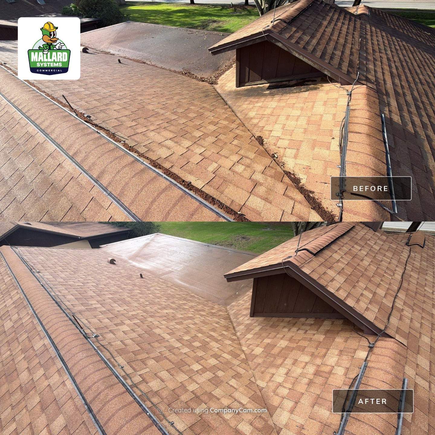 Shingle Roof Cleaning & Roof Debris Removal  by Mallard Systems
