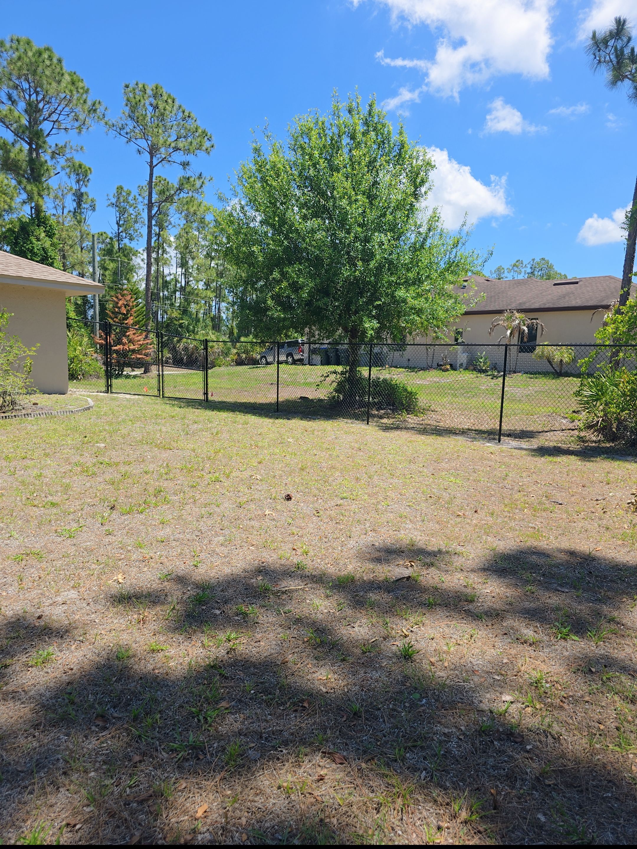 Black Chain Link Fence in North Port by True Fence LLC