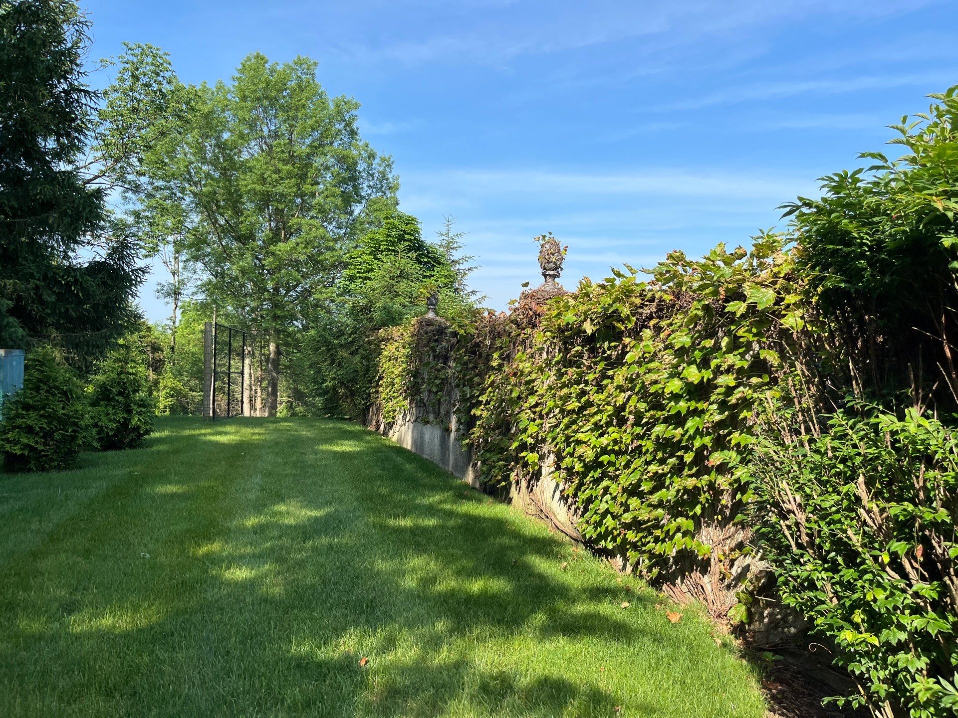 Professional Lawn Care for Far Hills Estate by Ants Plants