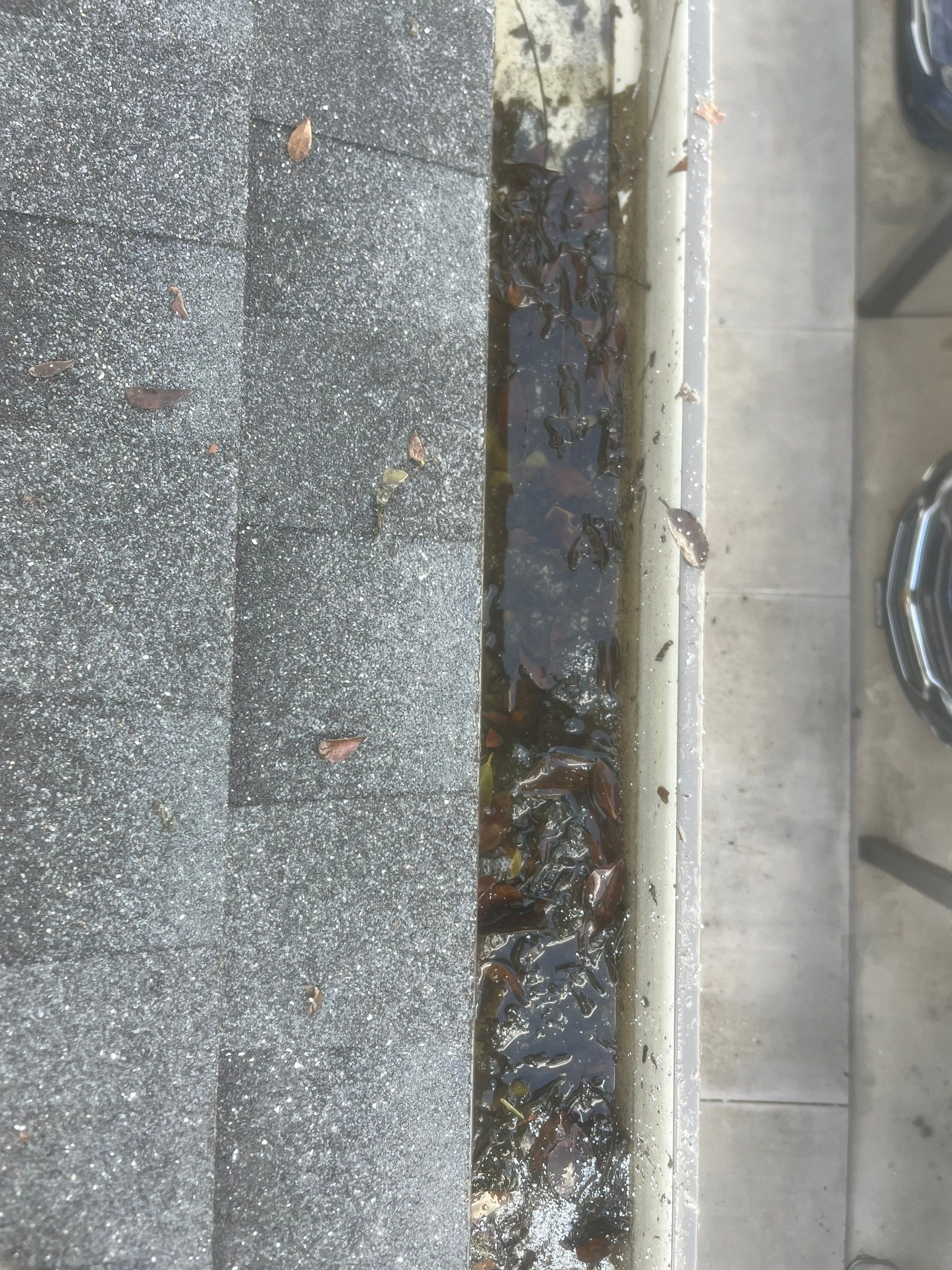 Professional Gutter Cleaning in Fort Myers FL by Gutter Professors