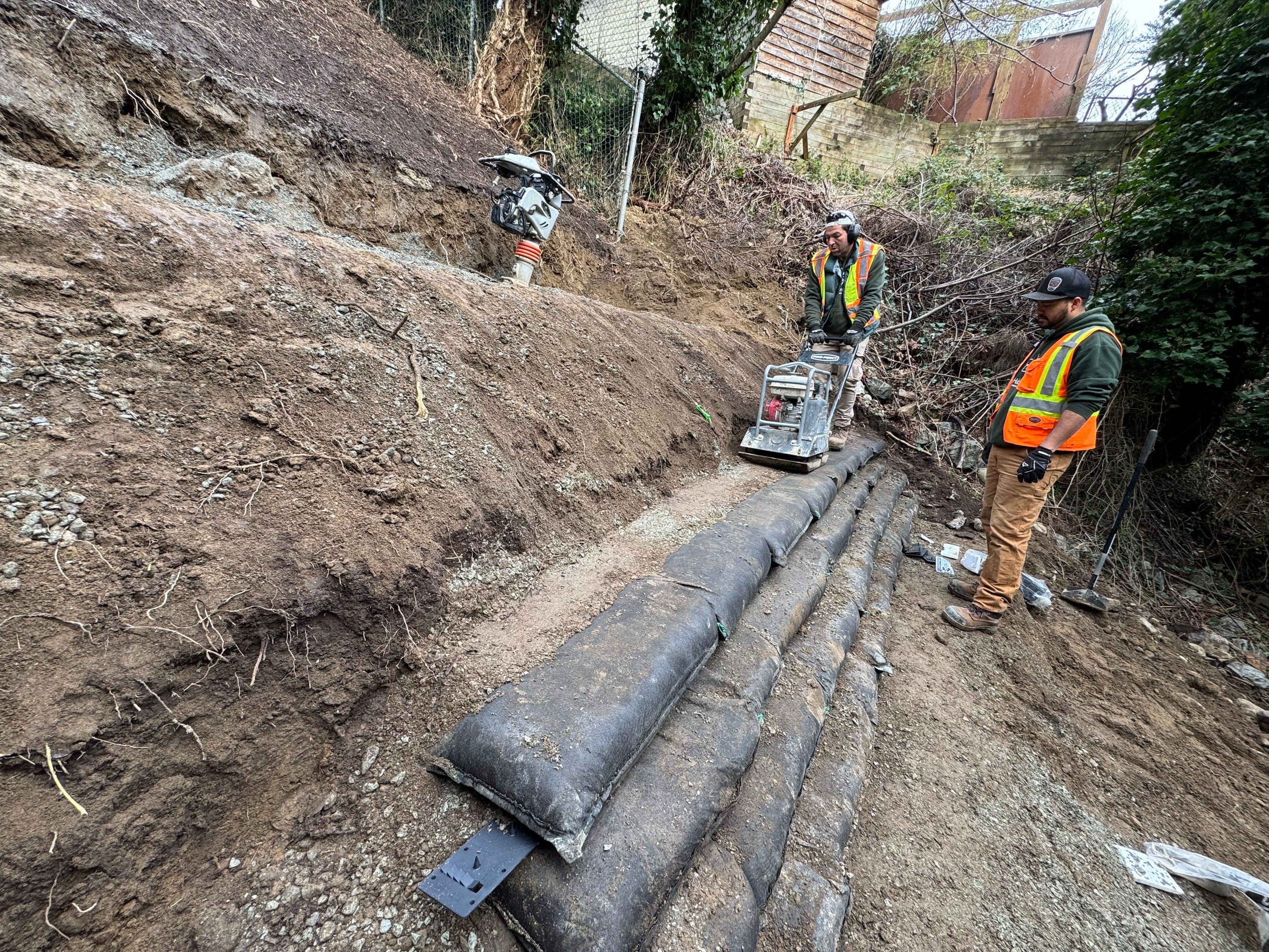 Georgia Park Terrace — Living Slope Transformation by Habanero Landscape Solutions