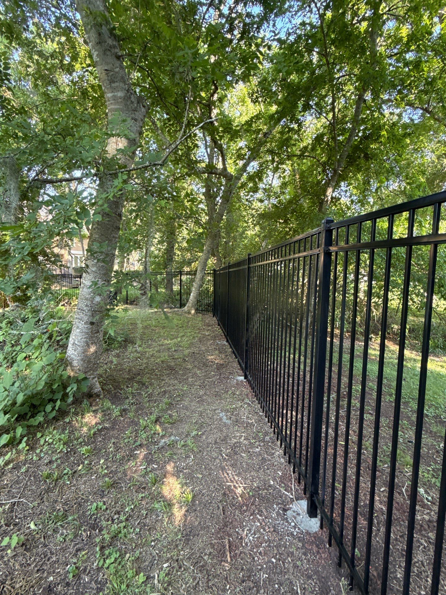 Timeless Style with Ameristar Ornamental Iron Fencing by Tim's Fences