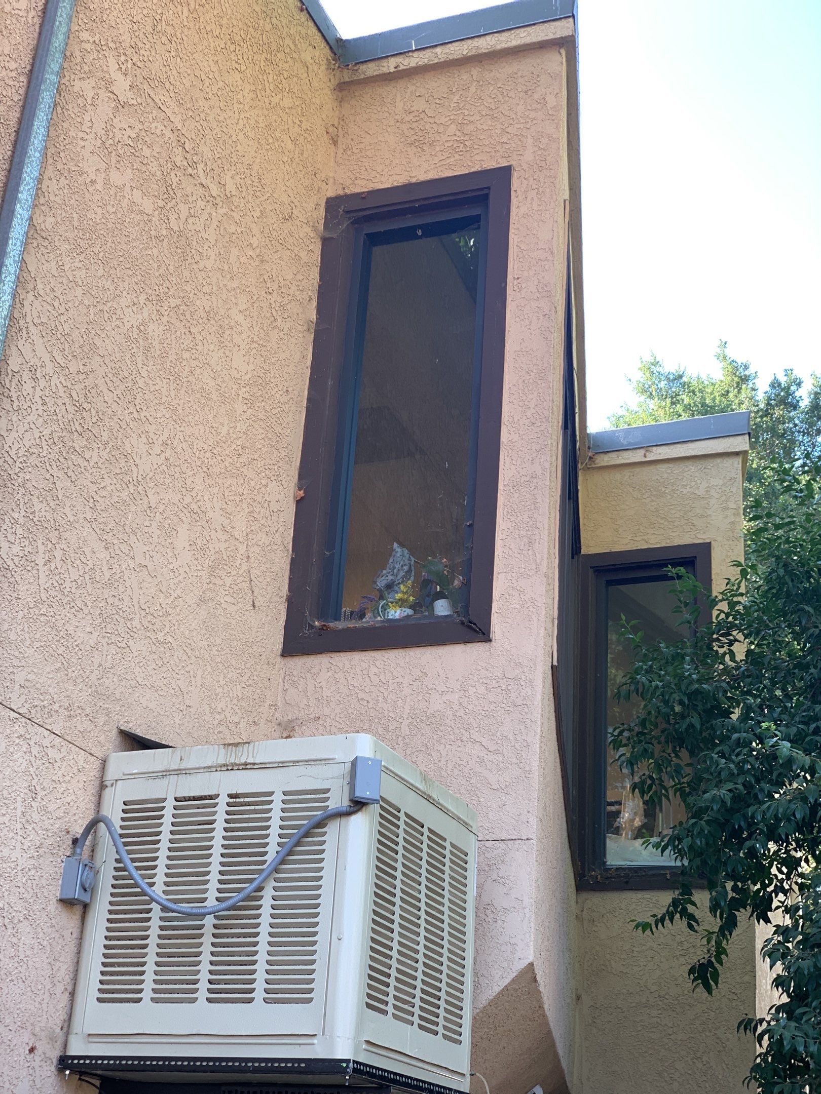 Jila Tailoring Studio by SpotFree Window Cleaning