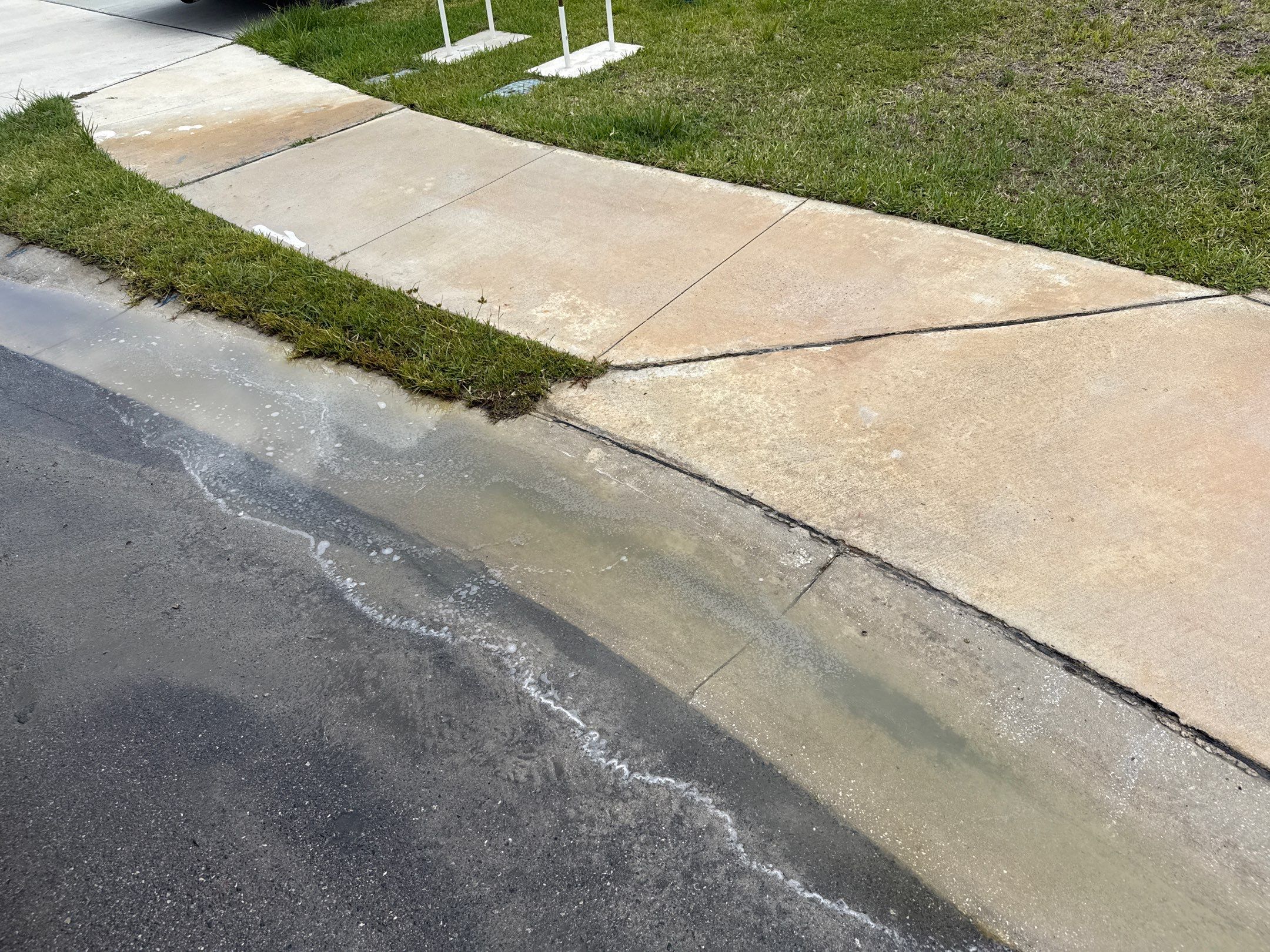Full Exterior Concrete and Detail Cleaning – Silverstone North, Palmetto, FL by Sunshine AquaWash