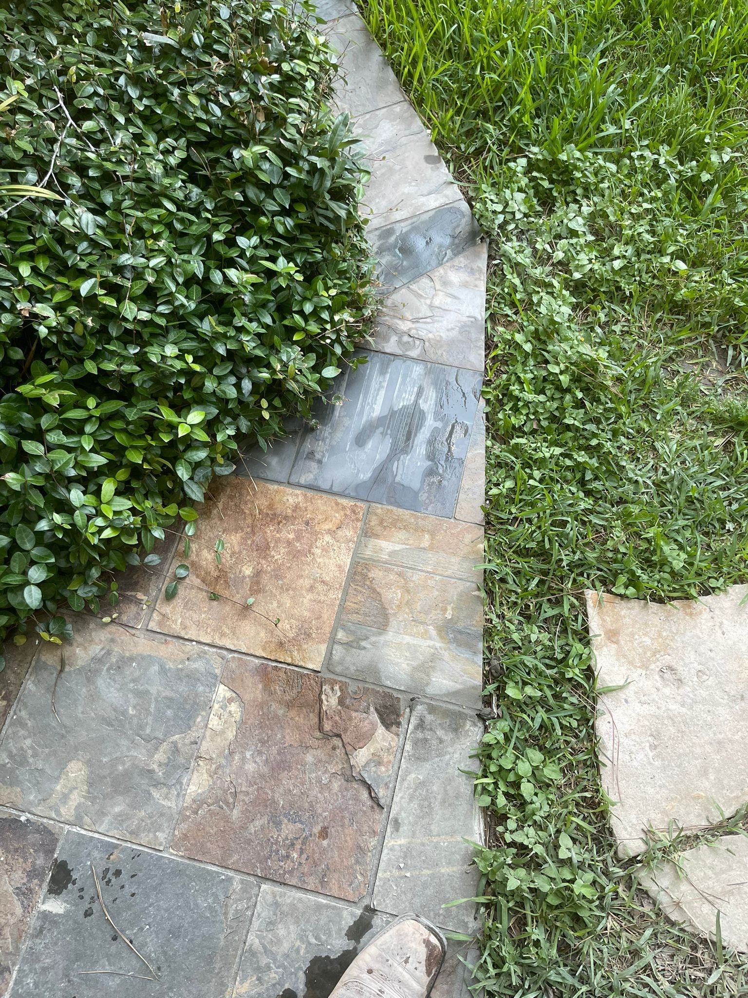 🌿 Project Spotlight: Patio Stone Repair for Linda Pradier by Texas Urban Elements