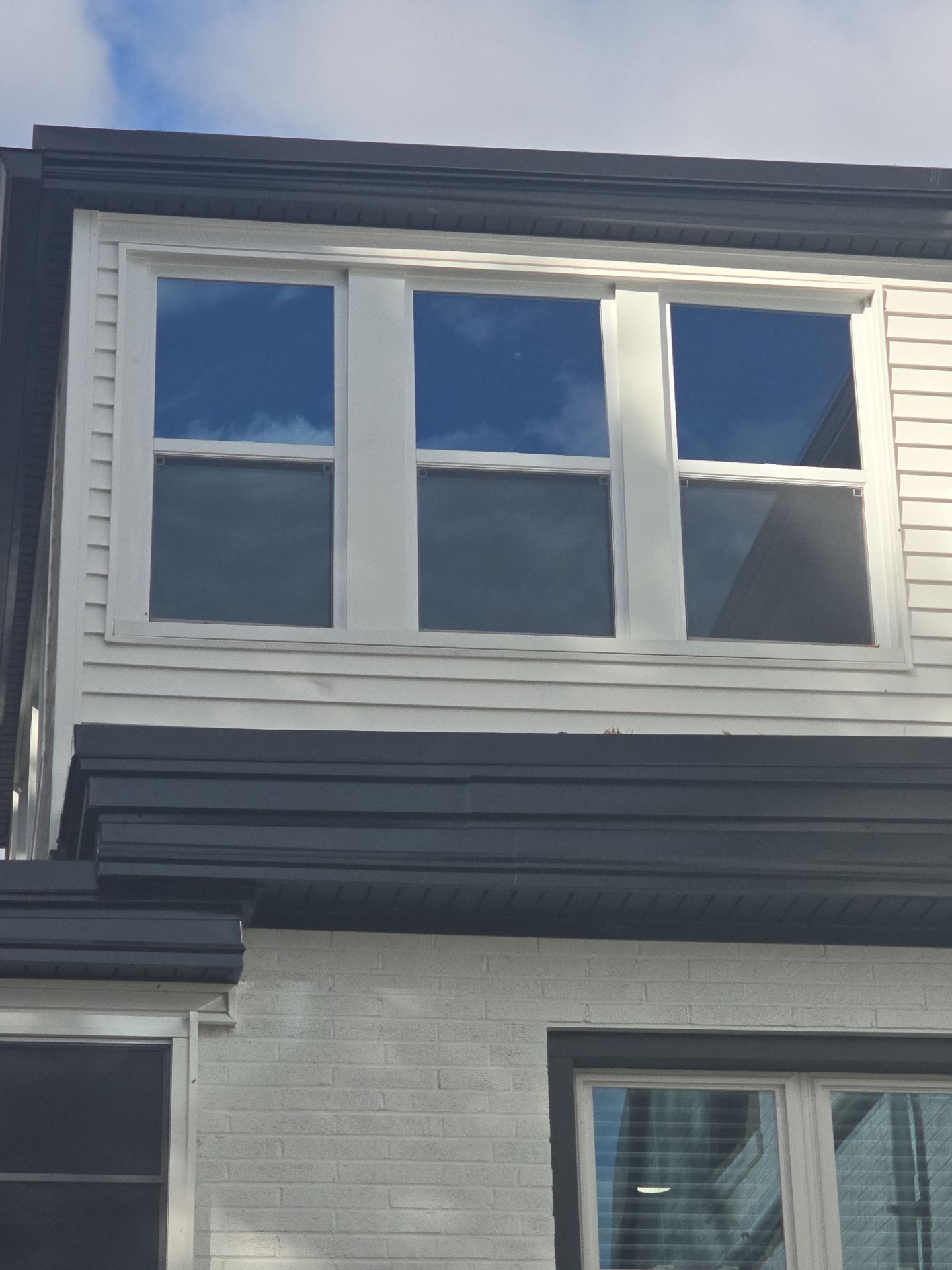 Emily Gonzalez by Silver Leaf Contracting 