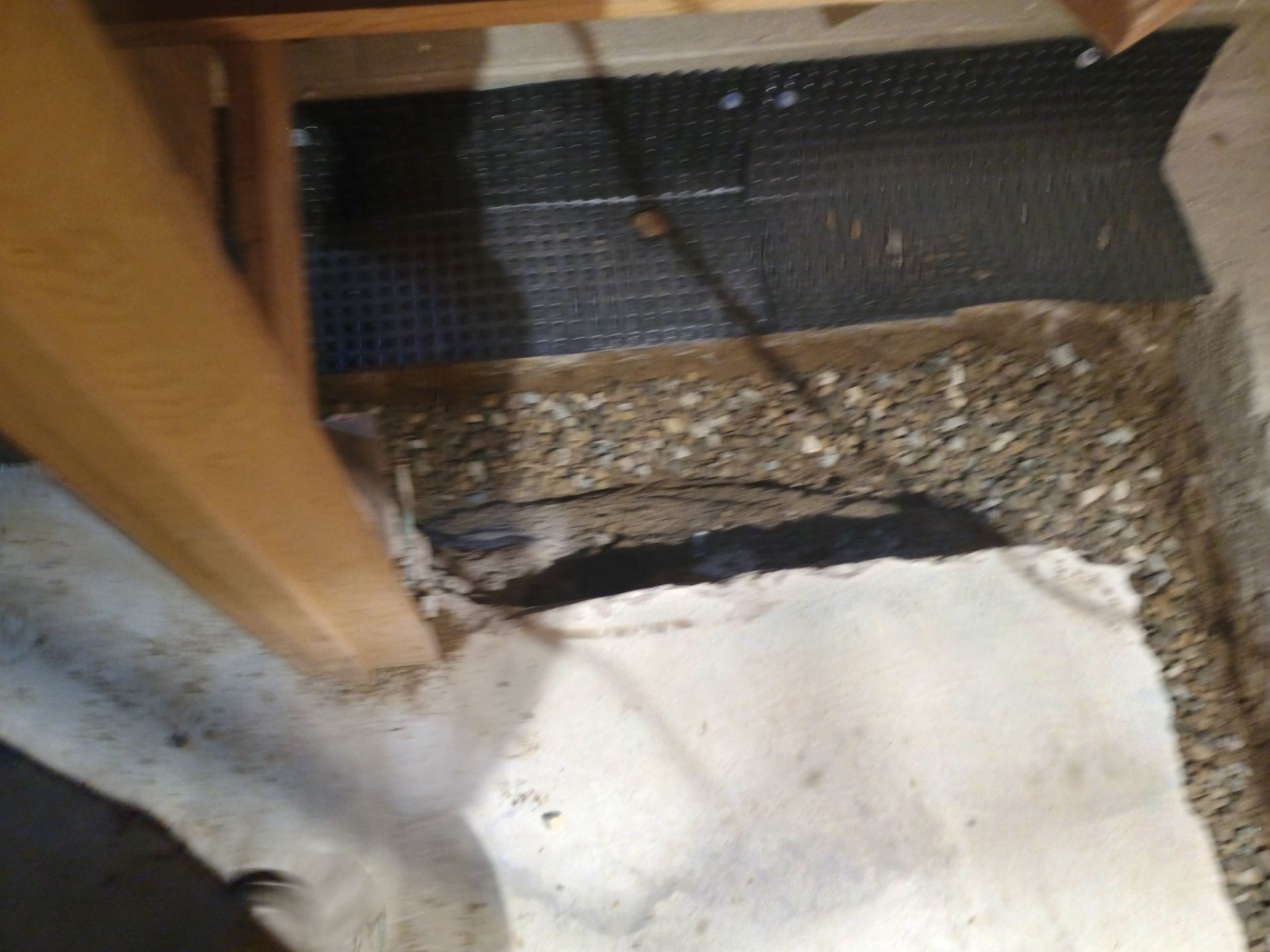 Basement Waterproofing Success by Waterproofing Northeast