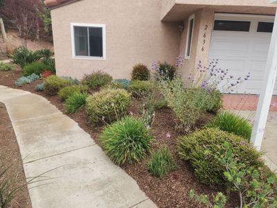 San Diego Residential Landscape Refresh With Succulents and Wood Mulch