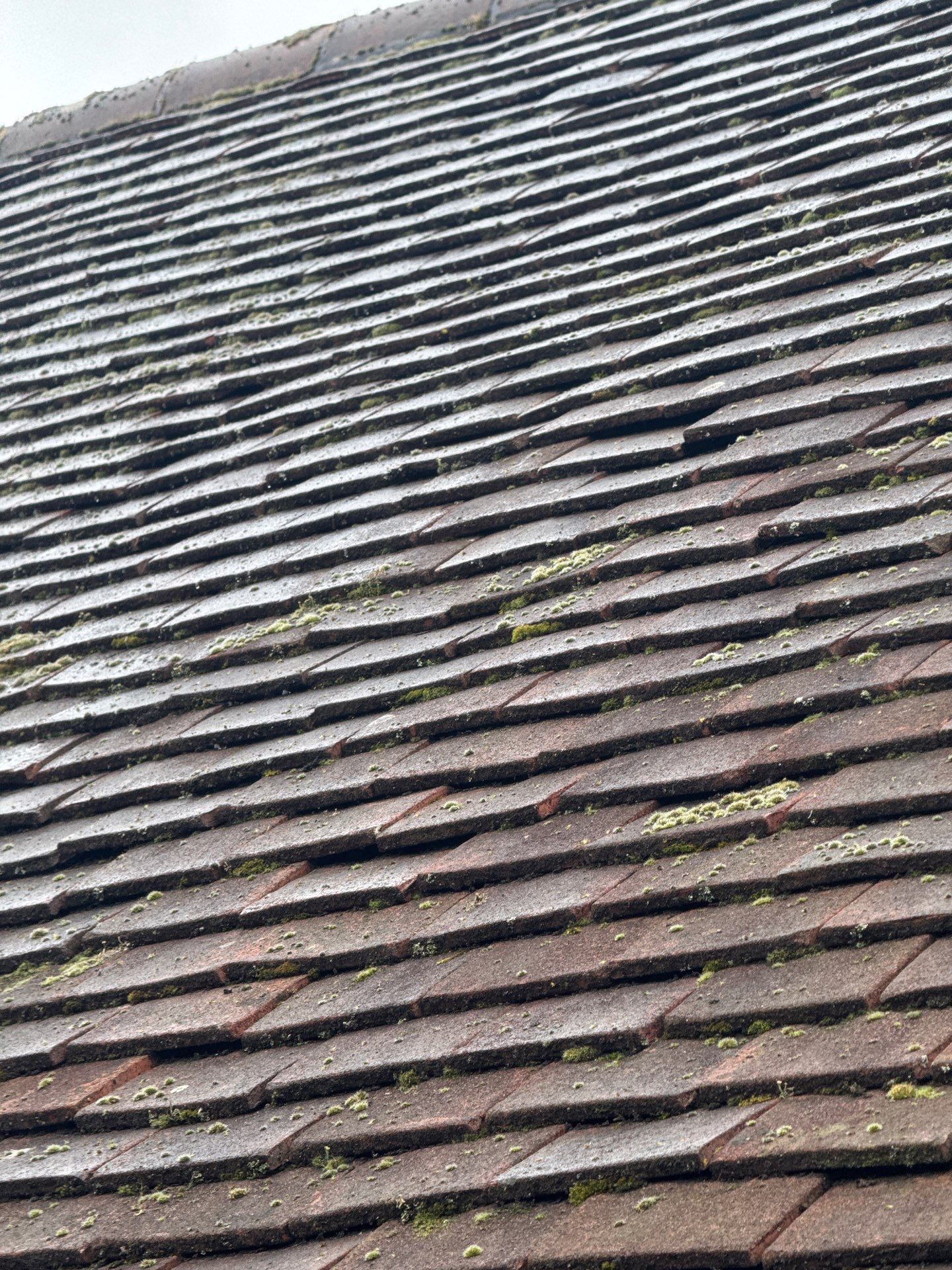 Roof Clean  - Moss Removal - Gutter Clean using Honda 15lpm Low Pressure Washing Machine by Ges Exterior Cleaning ltd
