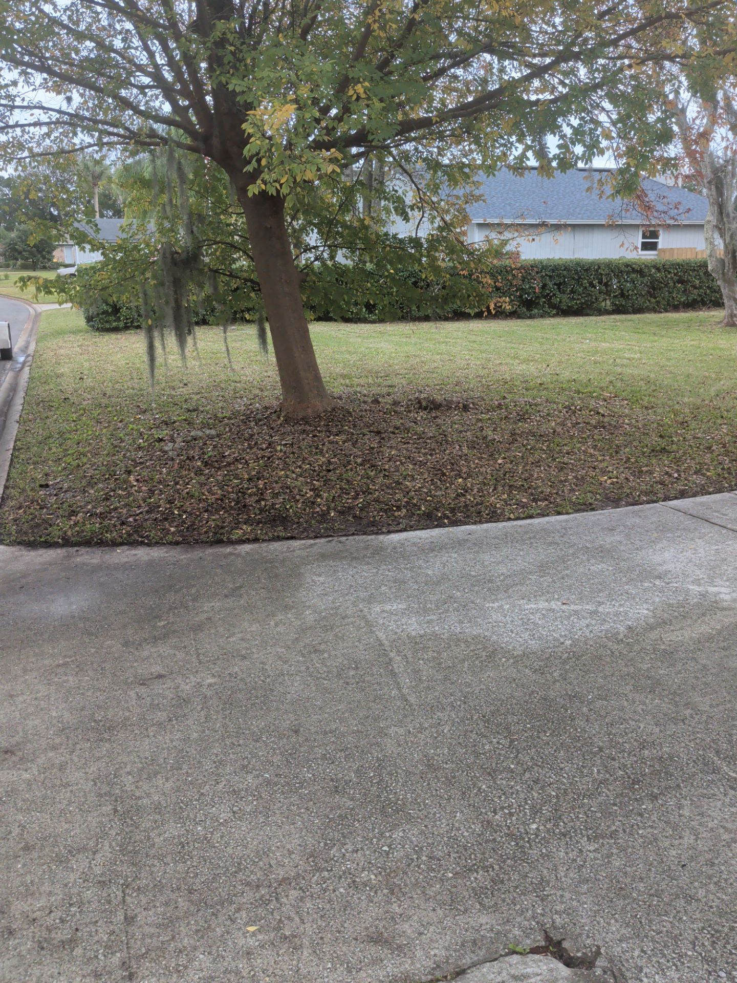 Pressure Washing/Soft Wash & Lawn Care Service — Jacksonville Beach Area by Harmoni Home Services