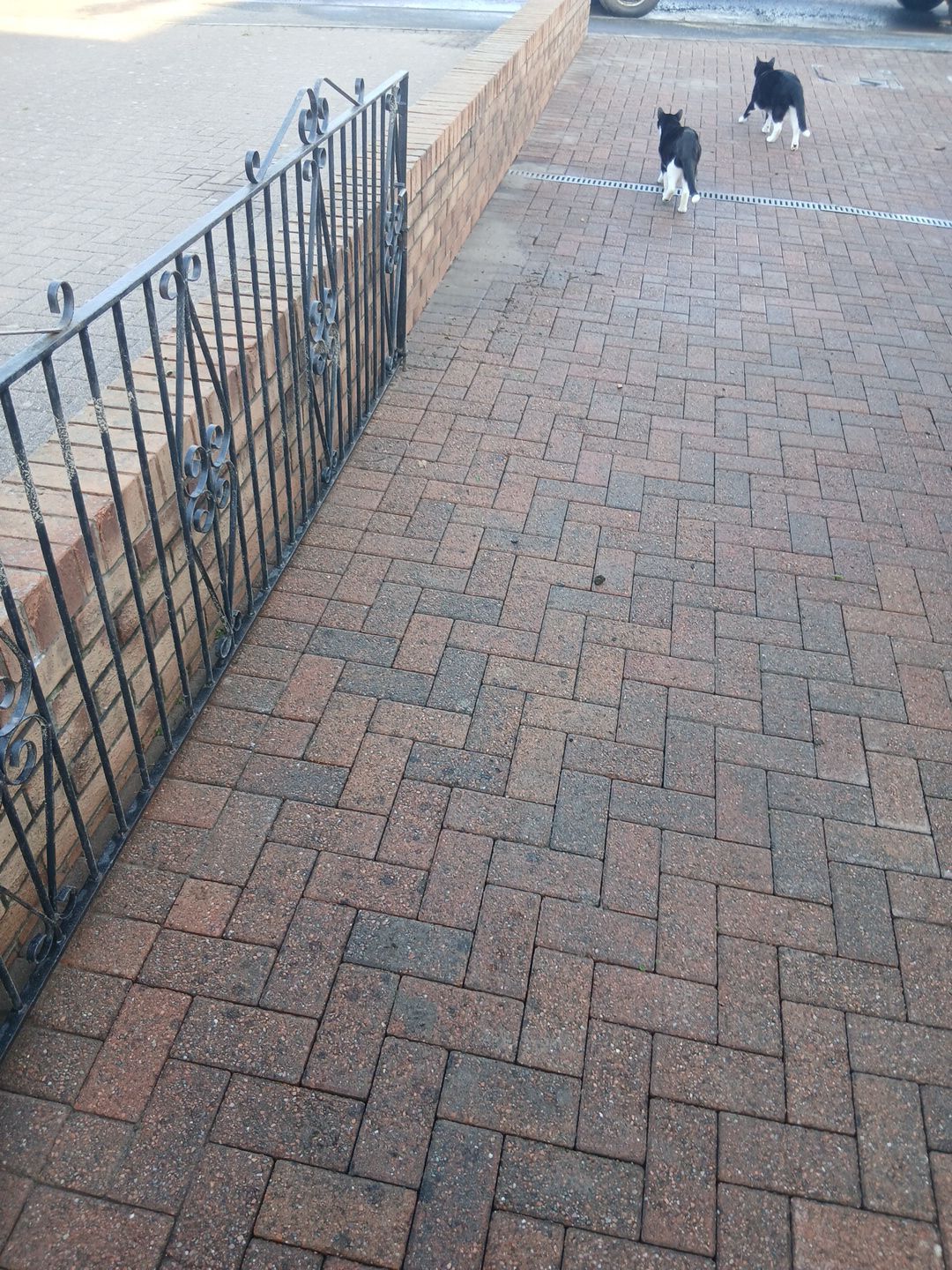 Jetwash in Falkirk by EZXCo Ltd