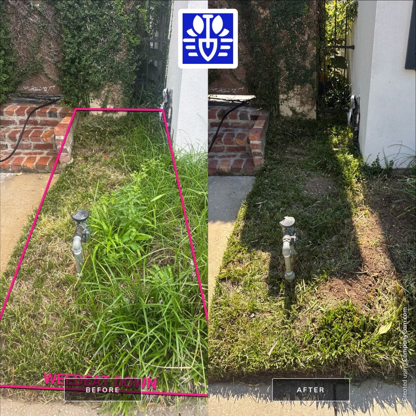 LANDSCAPE SERVICES: VINE TRIM AND BED CLEAN UP by CutScape, LLC.
