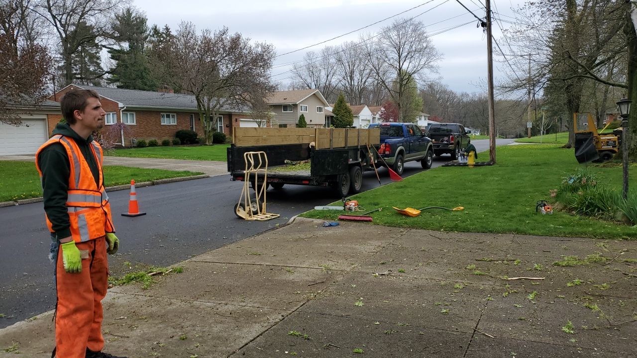 Tree Removal using Tree Removal by Mike Jones & Sons Tree Service LLC 