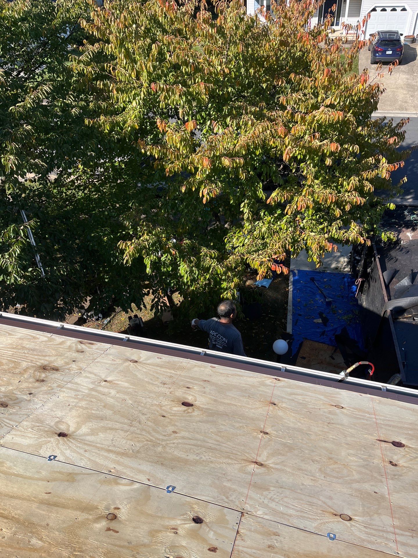 Sterling: Residential Roof Replacement with CertainTeed Landmark Pro Designer Shingles in Max Def Mojave Tan by RM Banning, Inc.