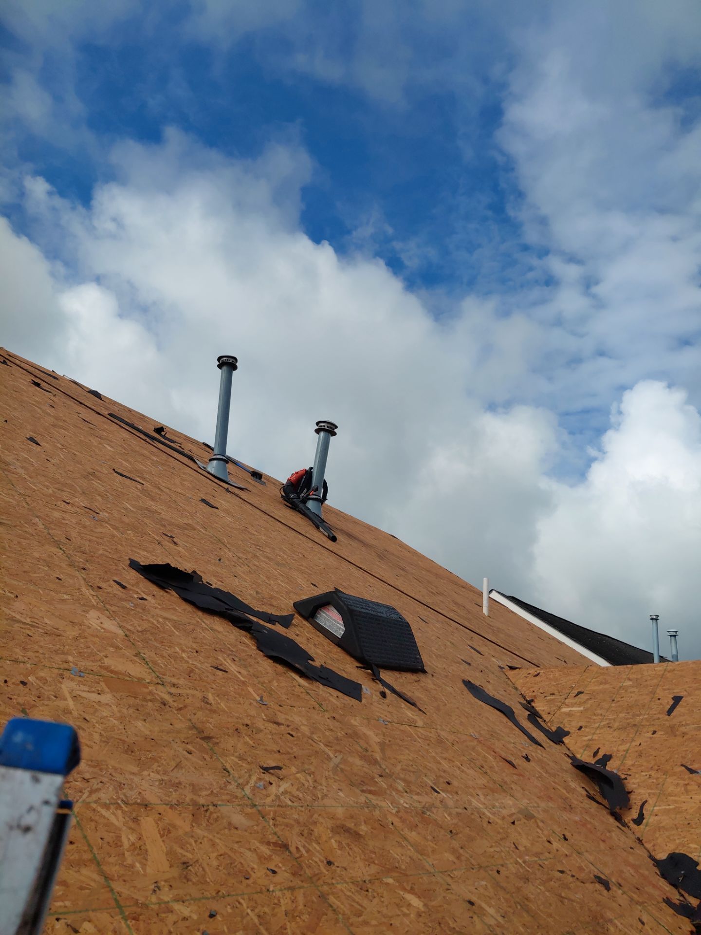 Alexandria: Residential Roof Replacement with CertainTeed Landmark Pro in Max Def Charcoal Black by RM Banning, Inc.