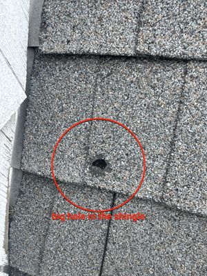 Tyee Roofing Replacement