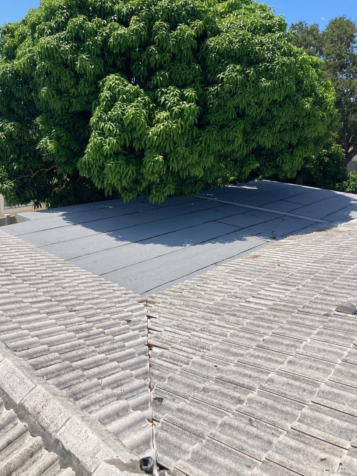 Project in Largo 33774 by Mitchell Roofing Company LLC 