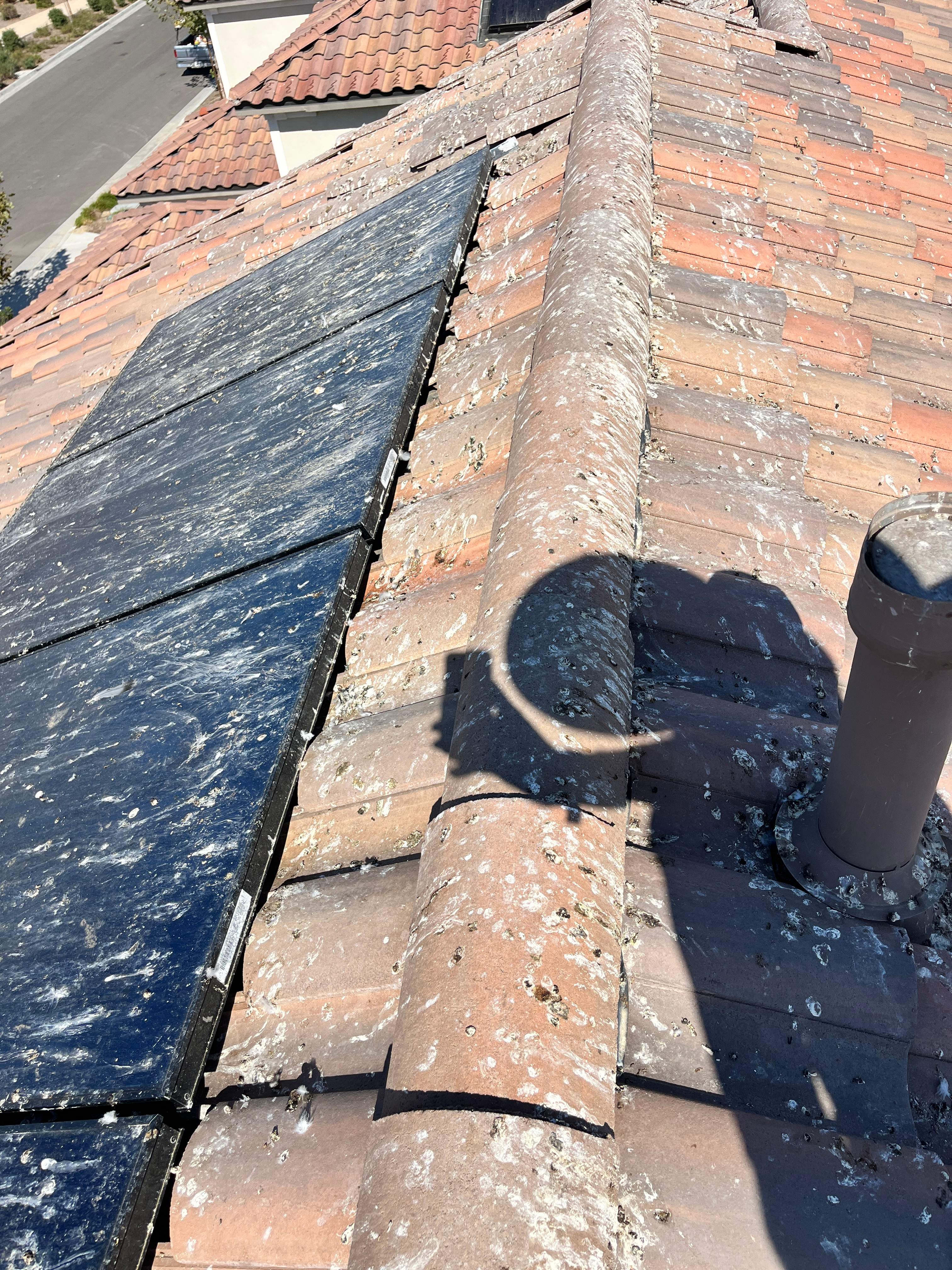 Bird Proofing Solar Panels in Ontario Ca by Palm Coast Solar Cleaning