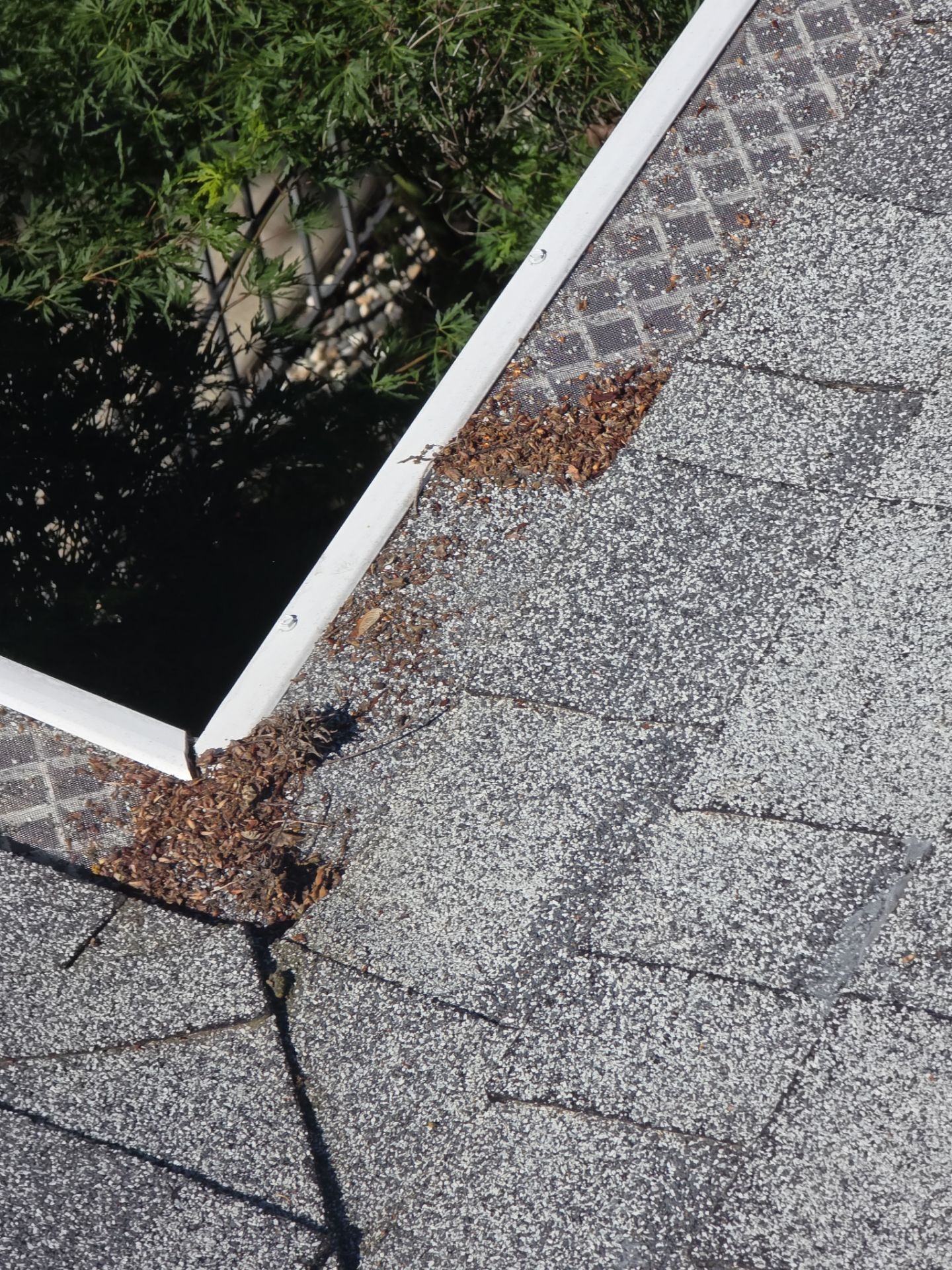 Roof Rejuvenation using Roof Maxx Treatment by Roof Maxx of Folsom