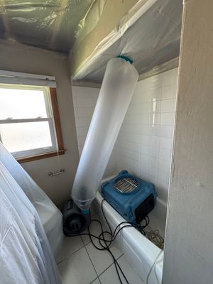 Bathroom Mold