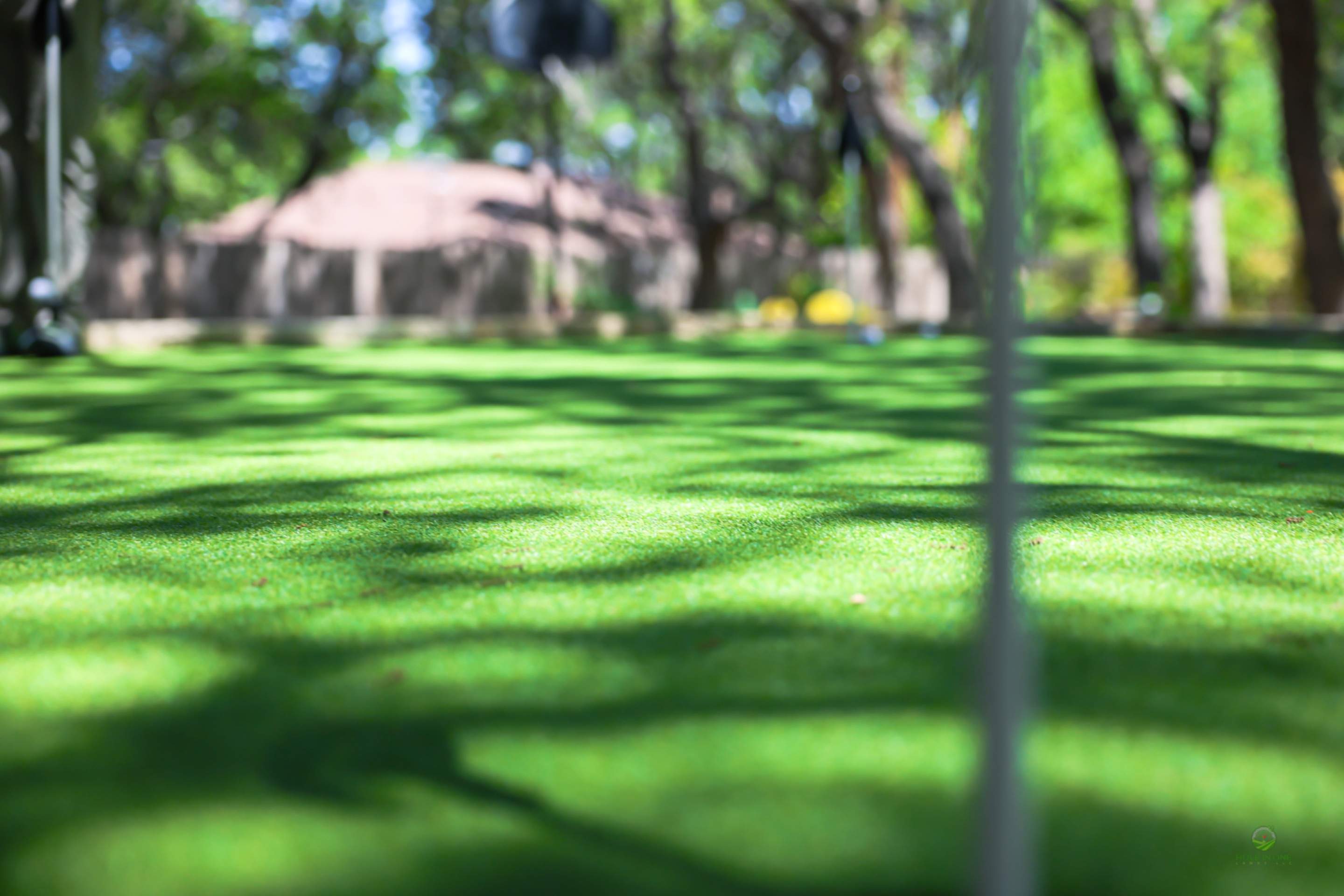 Braun Station West, San Antonio Tx. by Hole In One Lawns, LLC