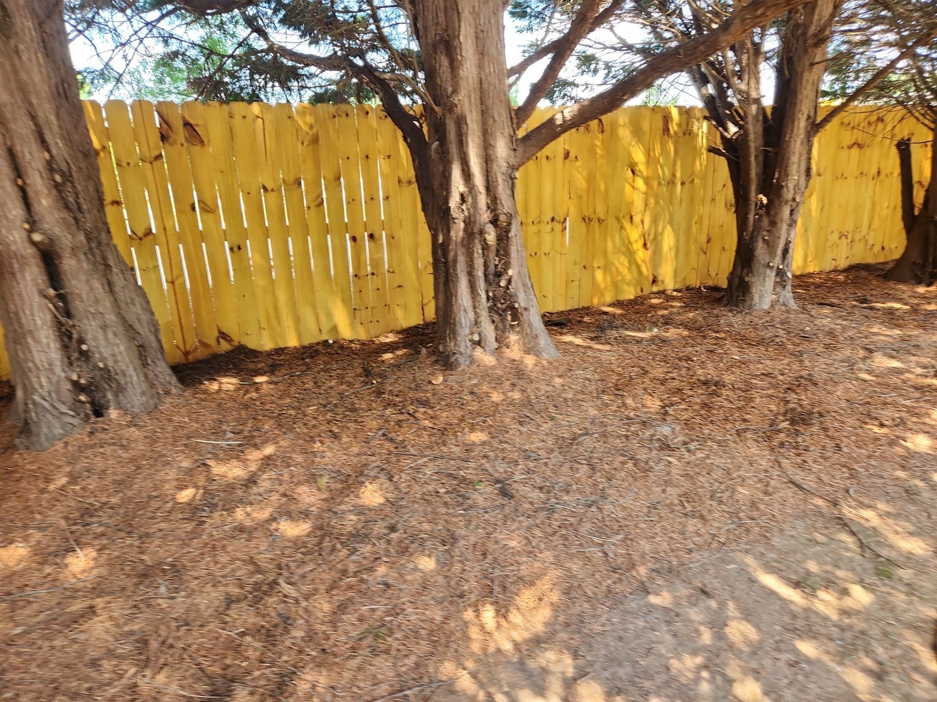 Fence using Wood Sealant by DuraSeal