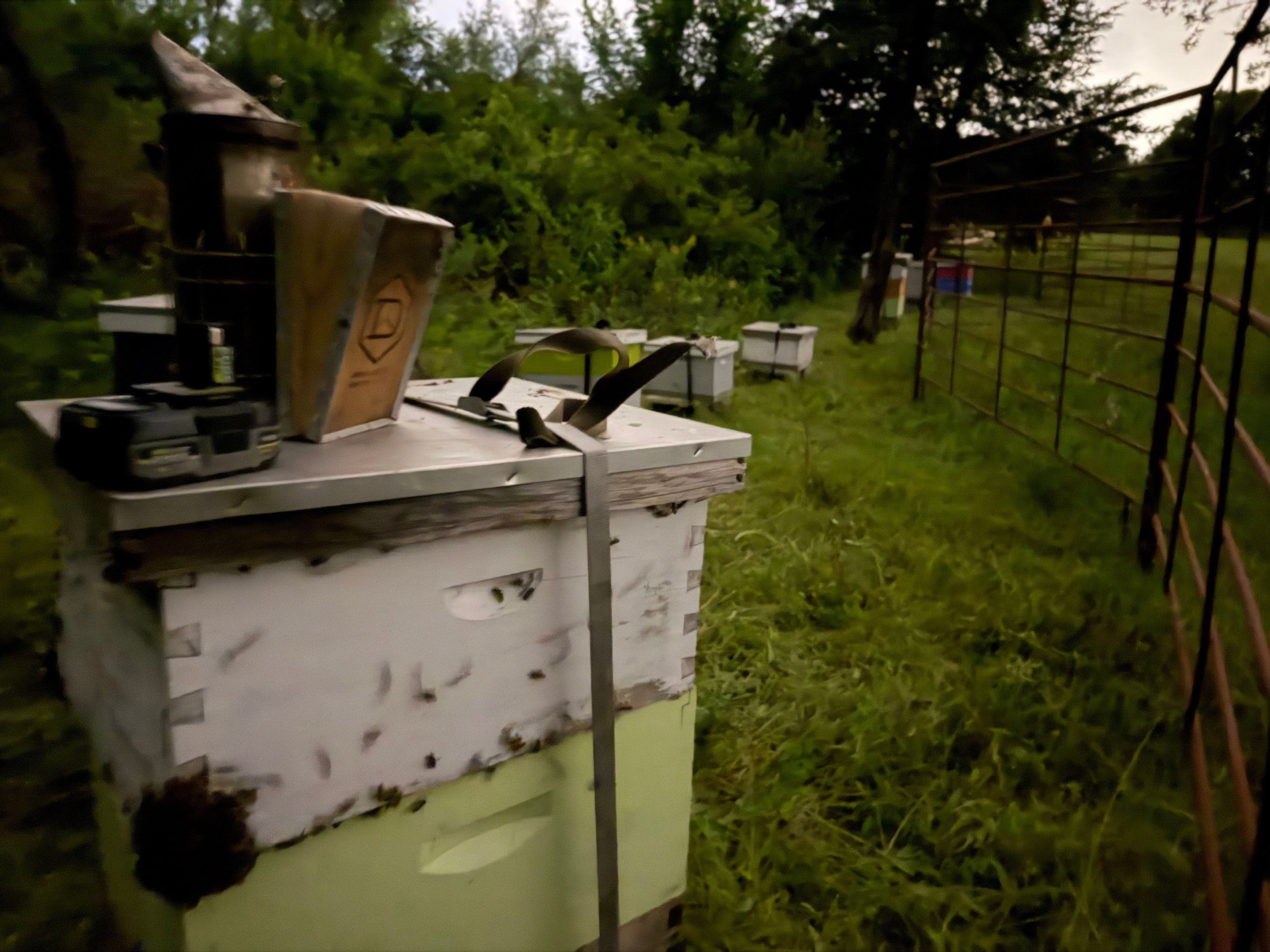 Rockwall County Ag. Exemption by Rockwall Honey Bee Company