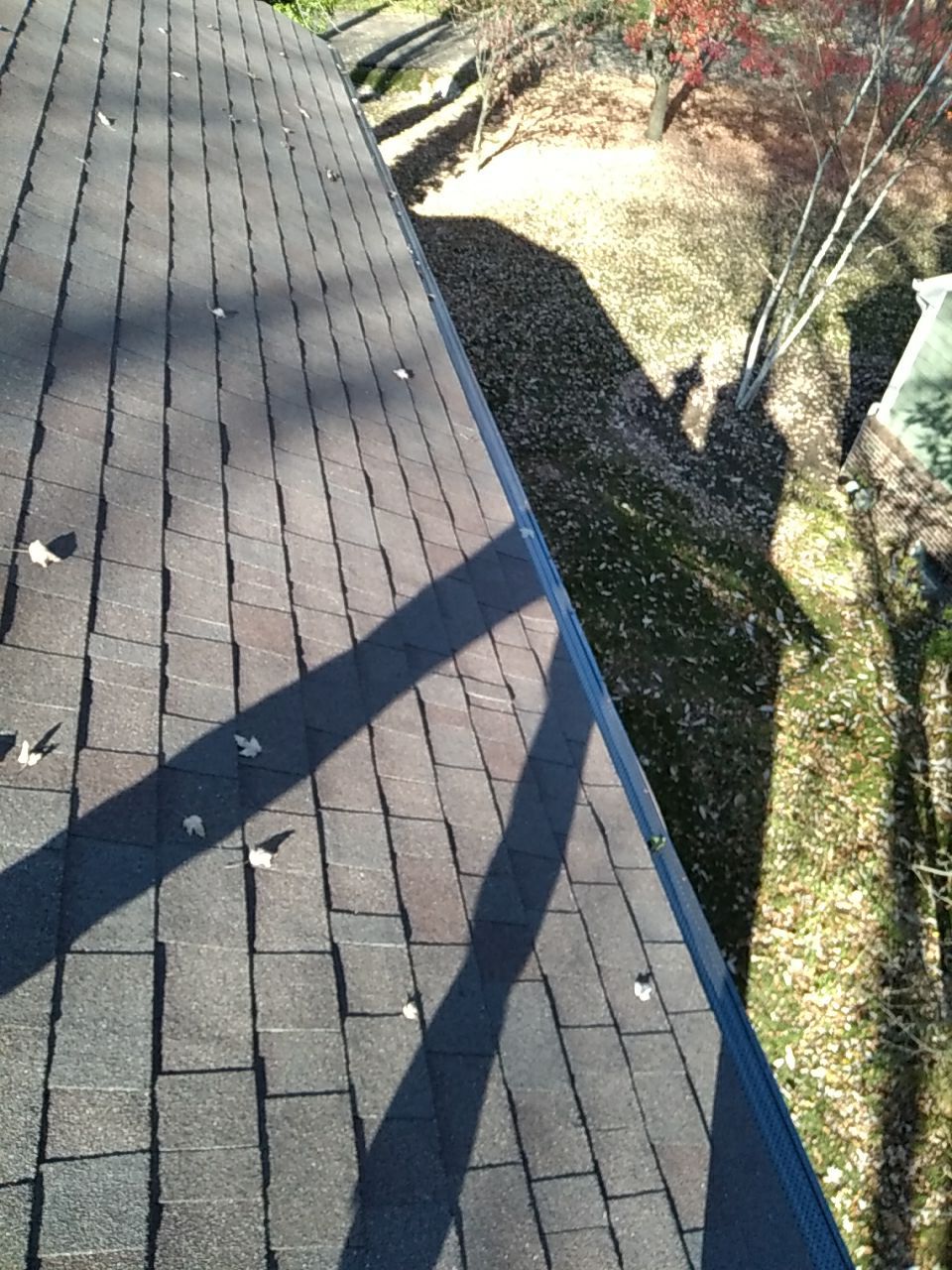 Nicholas Leonard by Silver Leaf Contracting 