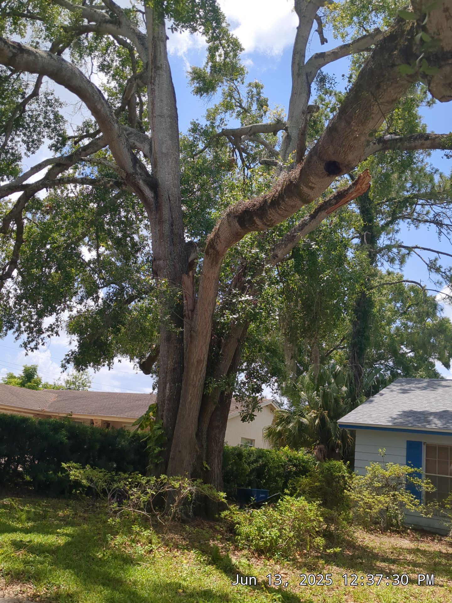 Kevin's Tree Service featured photo.