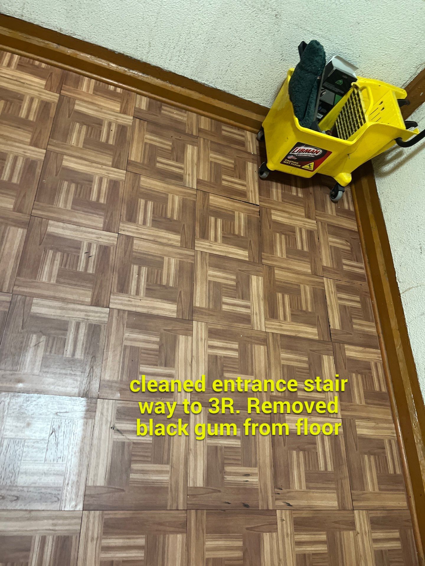 Project in Chicago by Xo Clean Services 