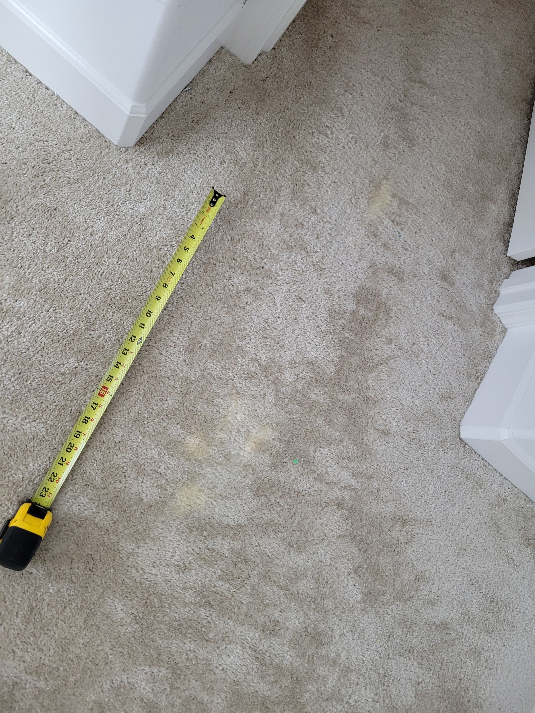 Carpet Repair of Paint, Stain & Bleach by Ardent Carpet Restore LLC