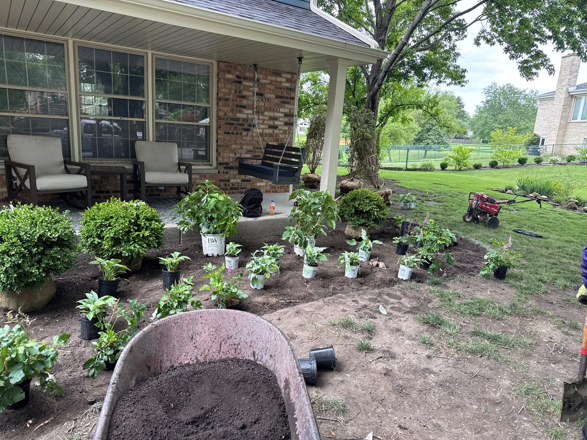 Alicia S. - Arlington Heights, IL by A&N