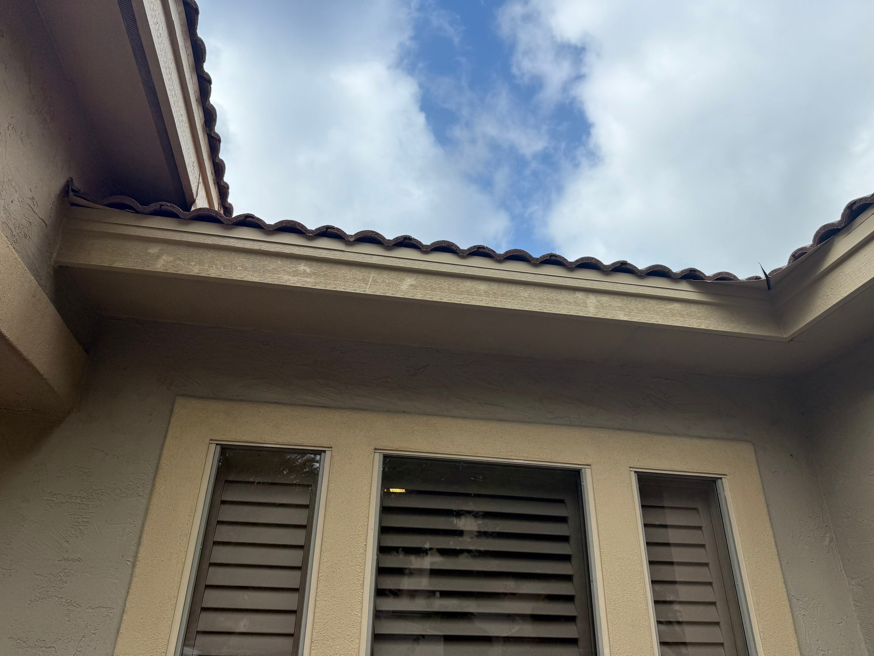 Fascia Carpentry Repair and Paint  by Rox Roofing